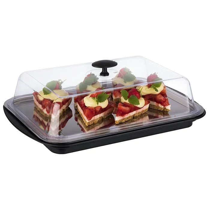 Thermo-Tablett-Set 43 x 29cm: stabile Schale, Edelstahl-Tablett, 2 Kühlakkus, Frischhaltehaube - 0