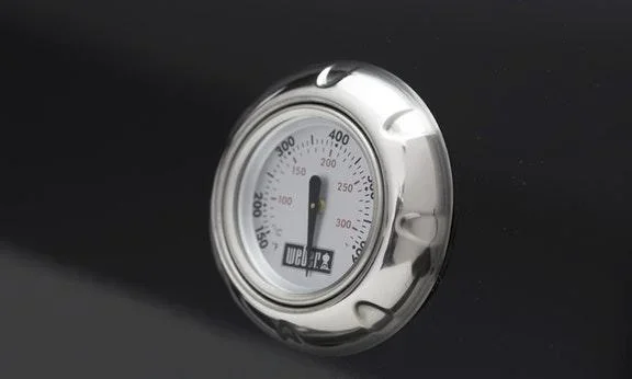Gasgrill Spirit E-220 Classic - 2