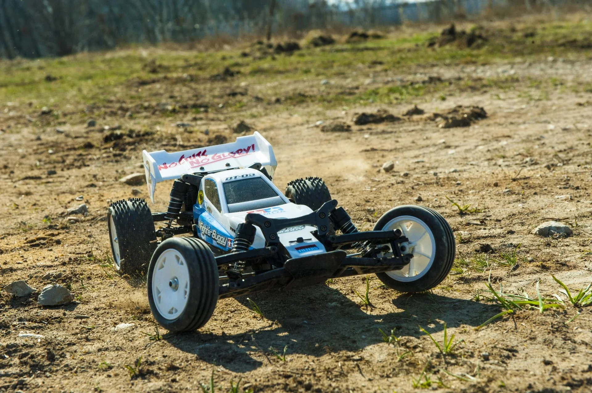 RC Neo Fighter Buggy DT-03 1:10 - 3