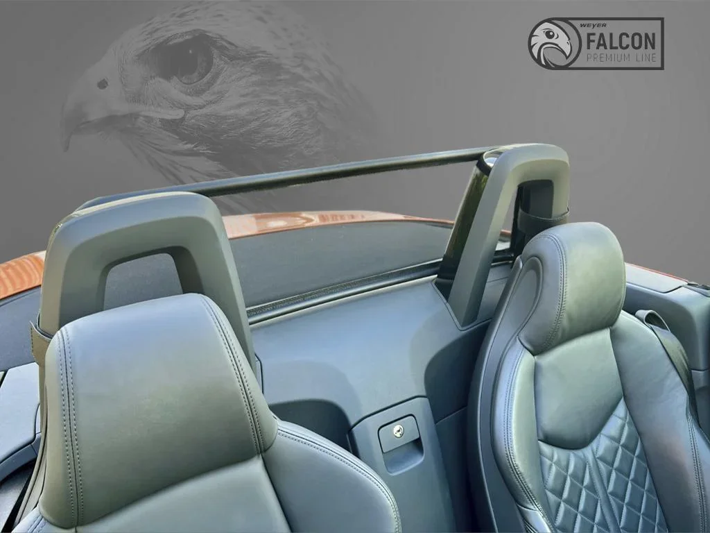 Windschott Audi TT 1-Teilig ab 2015 - 1