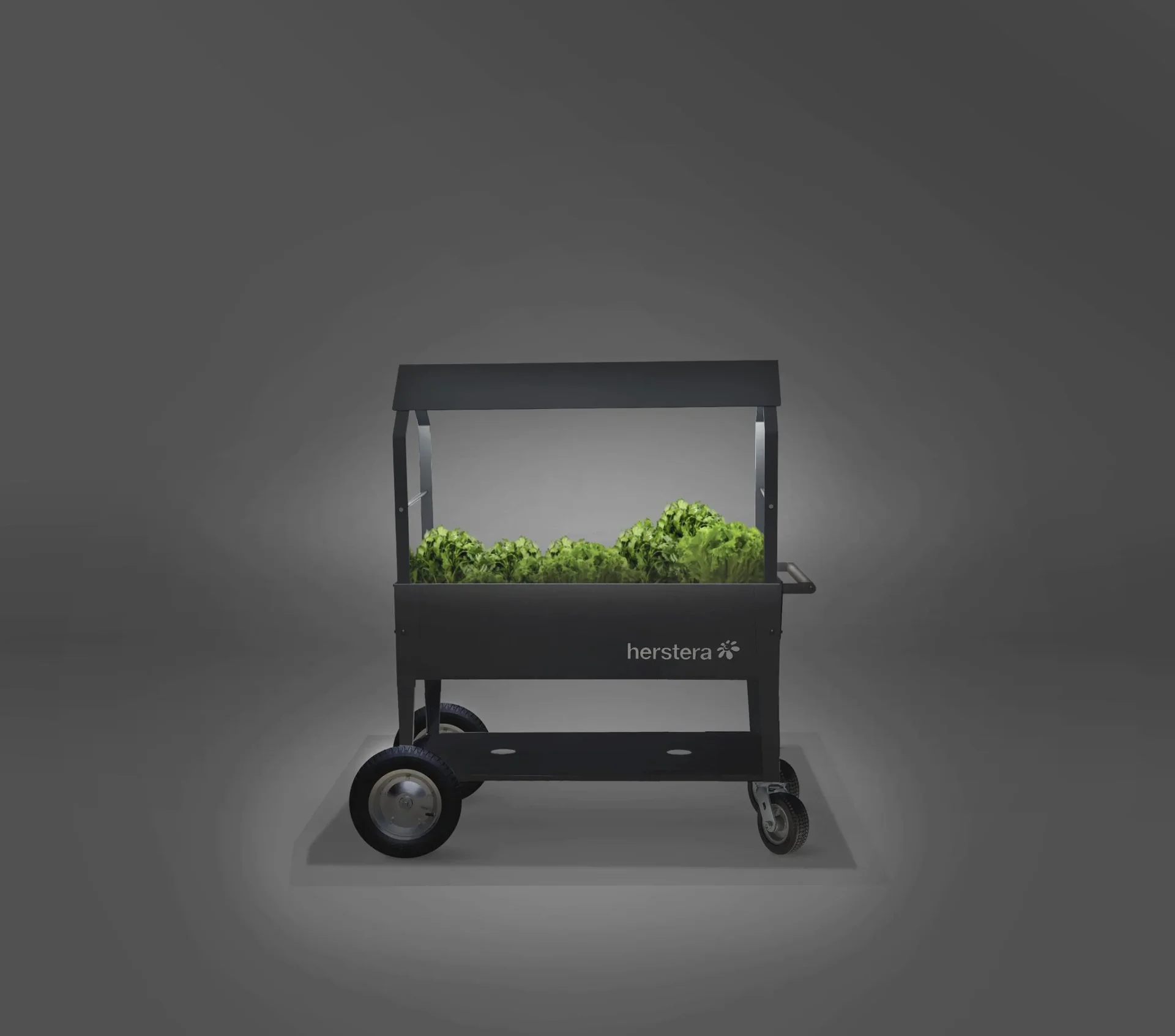 Kräuterfabrik Überdachung Swivel anthrazit, 120x60x93 cm - 0
