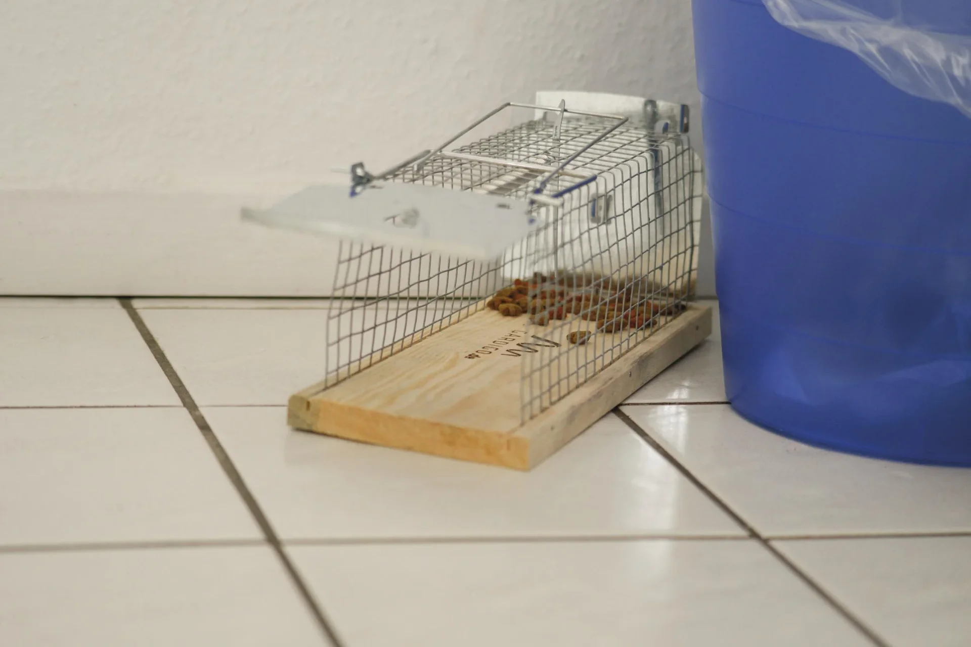 Ratten Lebendfalle Käfig - 0