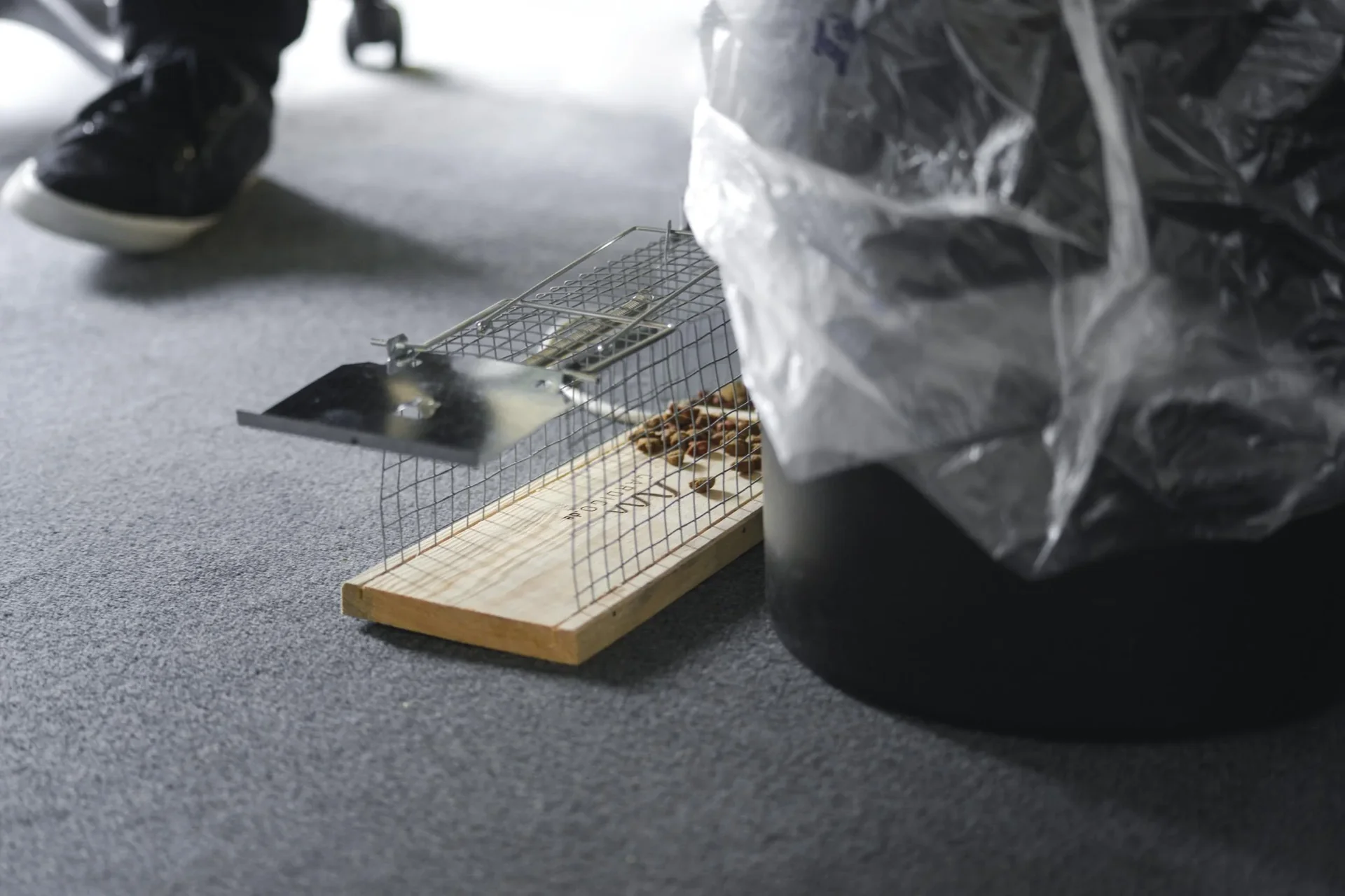 Ratten Lebendfalle Käfig - 4