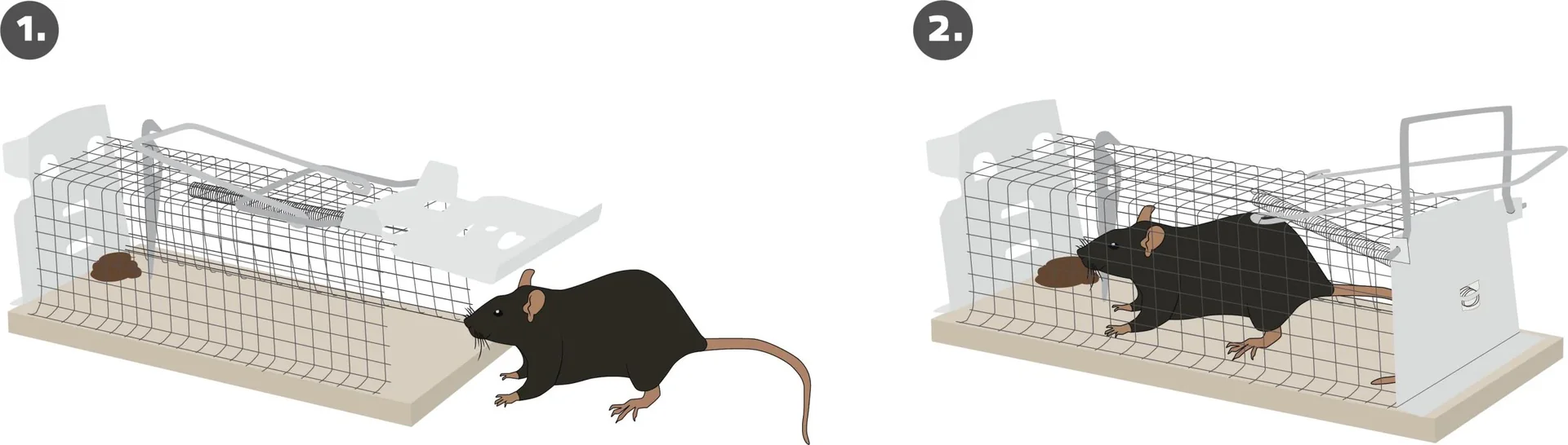 Ratten Lebendfalle Käfig - 5