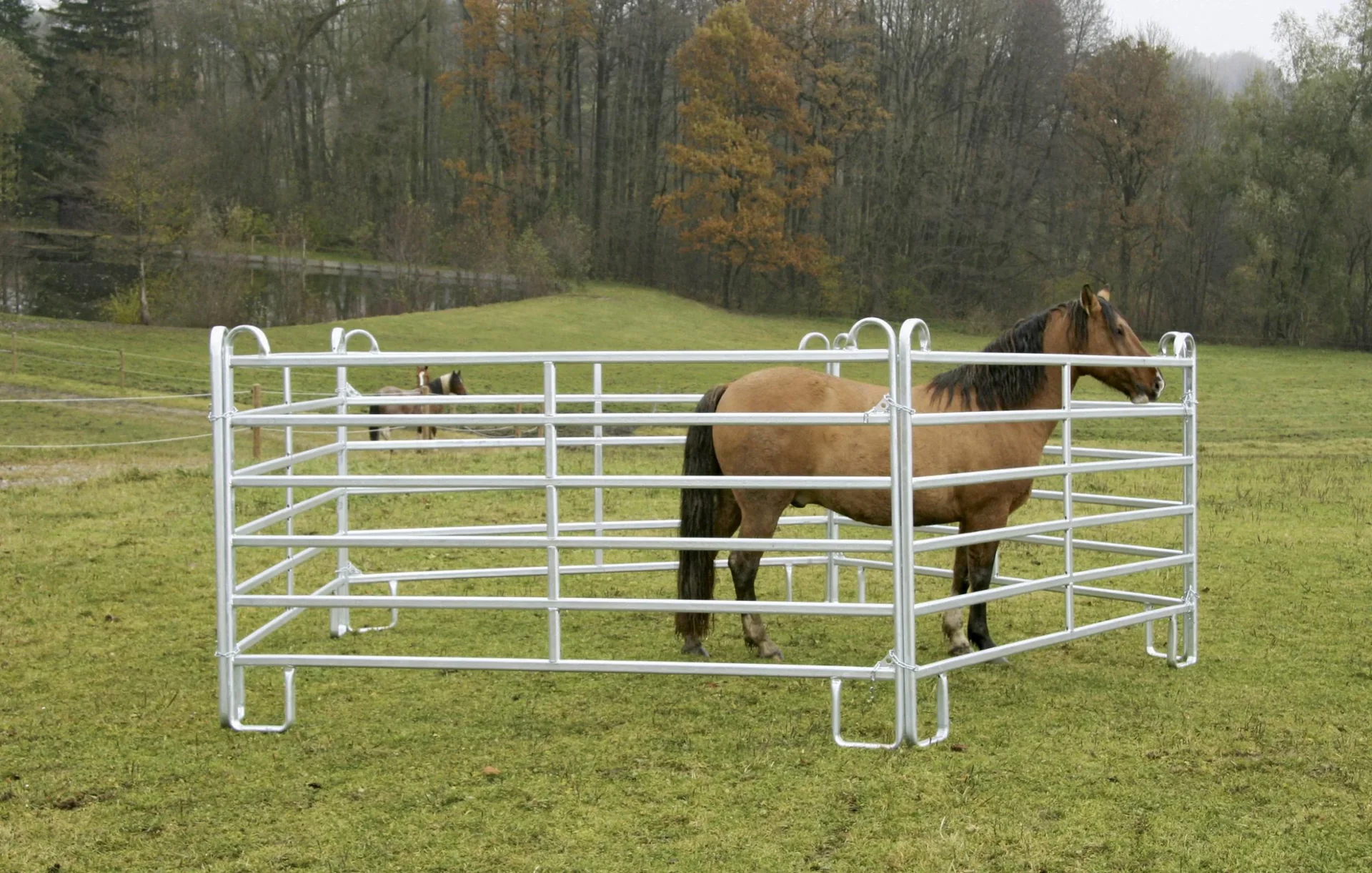 Weidepanel - Zaunelement 3,0 m Länge, 1,7 m Höhe - 4