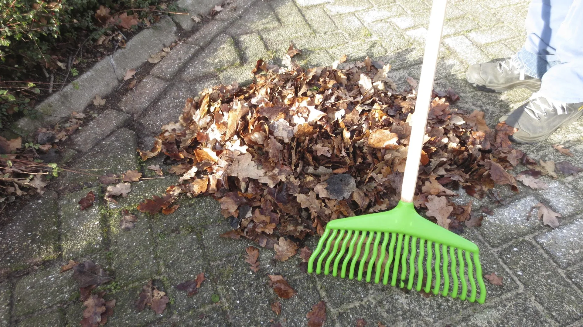 Gartenharke - 0