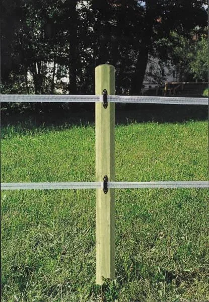 Holz Zaunpfähle 8 x 200 cm, 30 Stück - ideal für den Zaunbau - 2