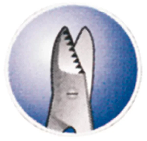 Fußnagelschere, 10,5 cm, extra stark, rostfrei - 2