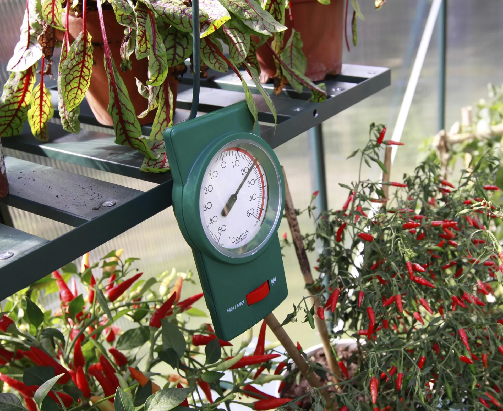 Min-Max-Thermometer - 1
