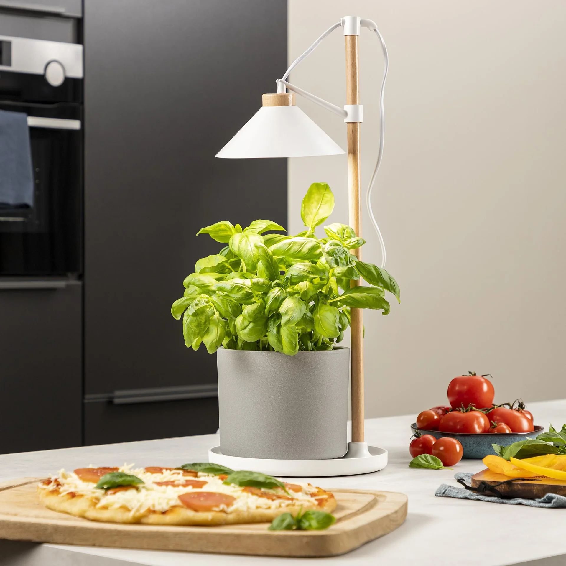 LED-Aufzuchtlicht 9 W - 1