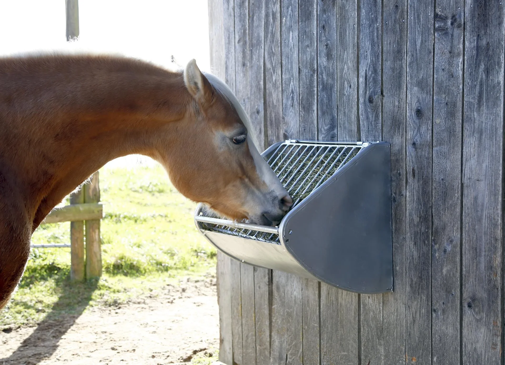 Heuraufe mit Futterspargitter - 7