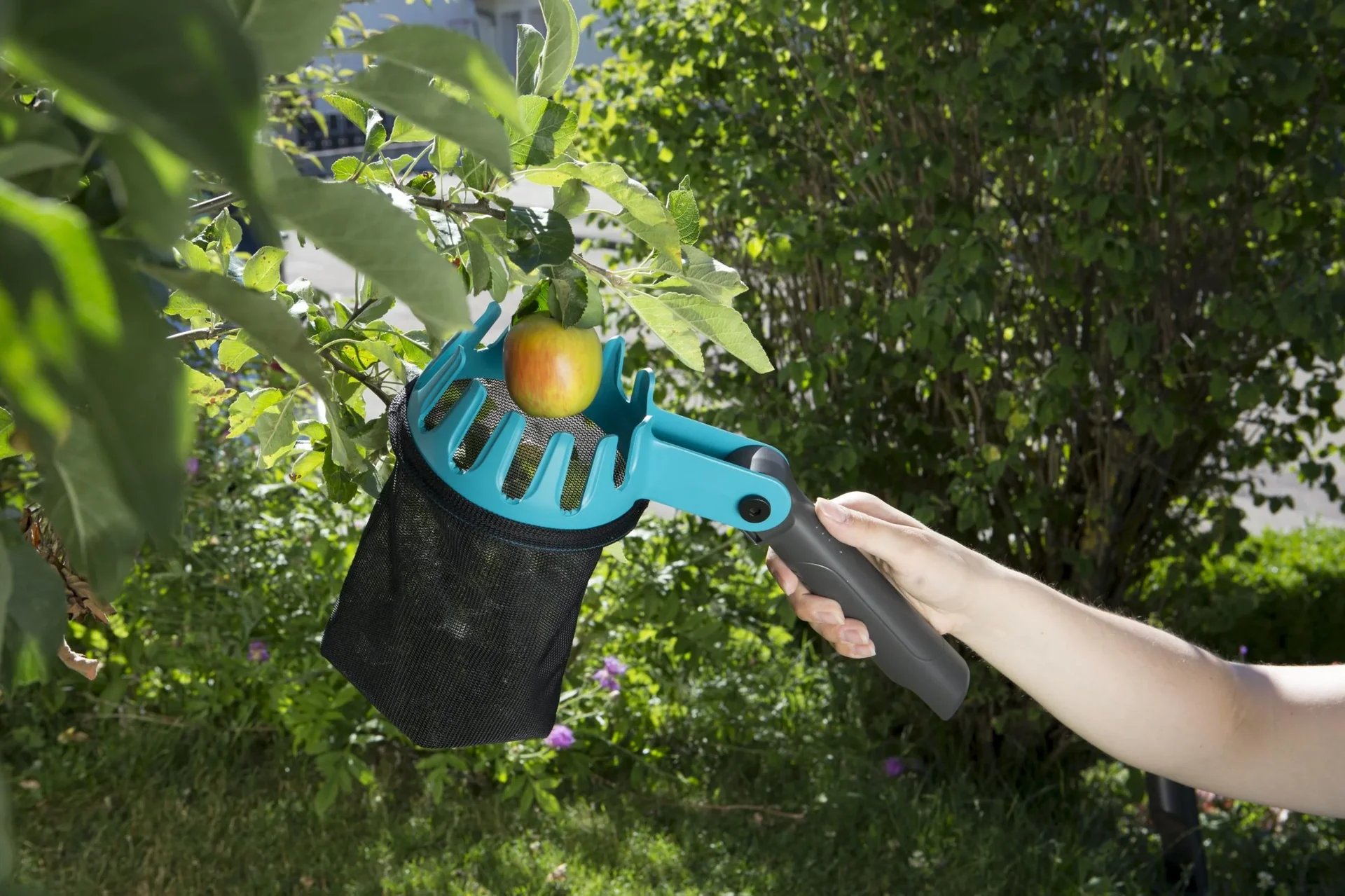 Combisystem-Obstpflücker, 14 cm Öffnung - 1