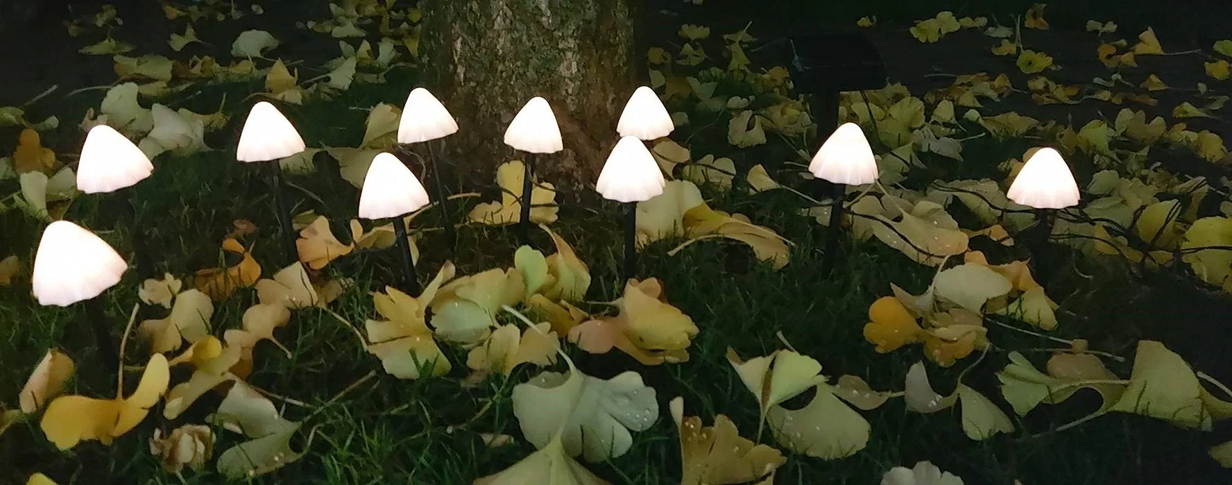 Solar-Lichterkette "Pilz", mit 20 warmweißen LEDs - 2