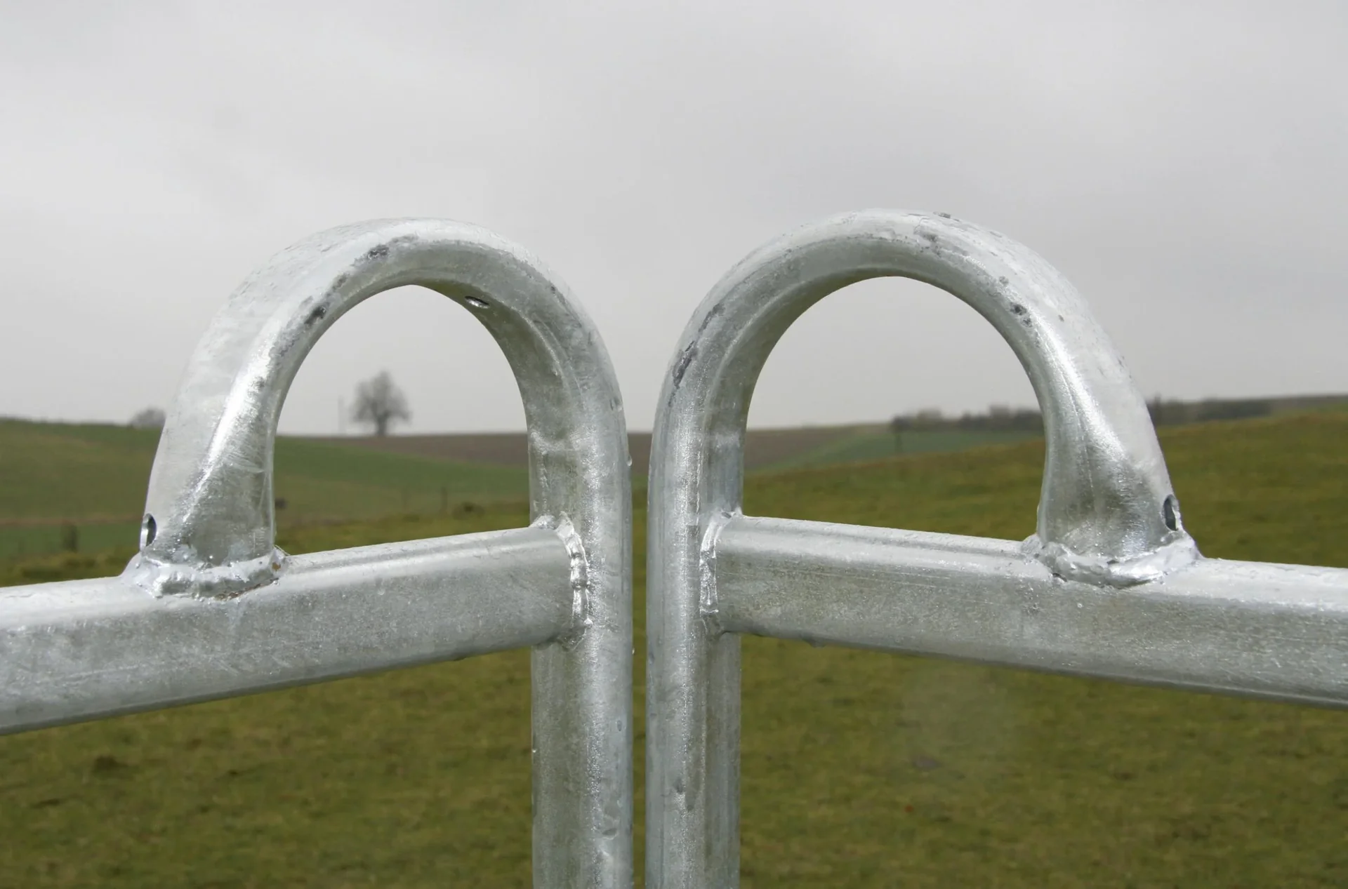 Weidepanel - Zaunelement 2,4 m Länge, 1,7 m Höhe - 7