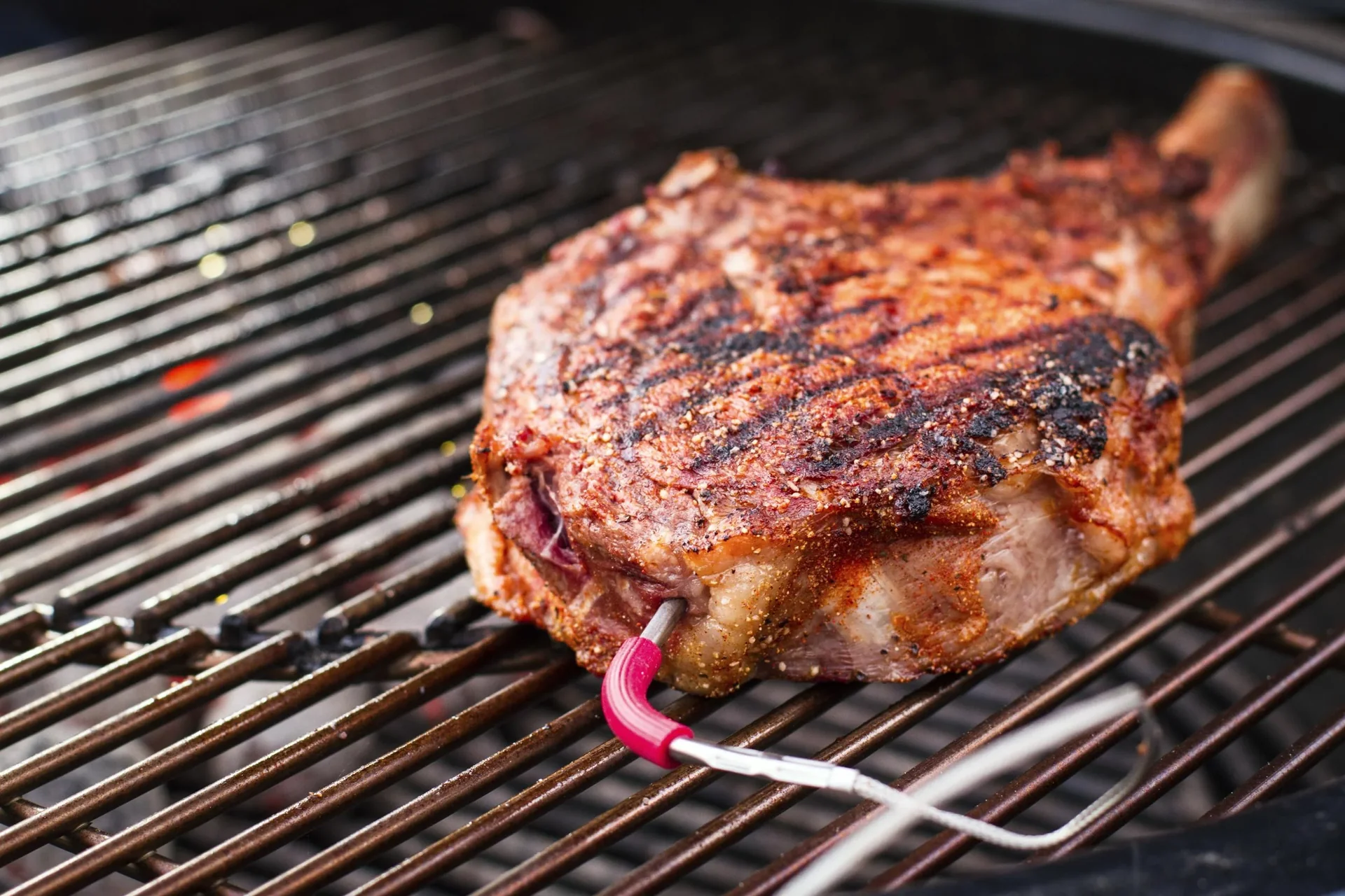Messfühler für Grillgut - 6
