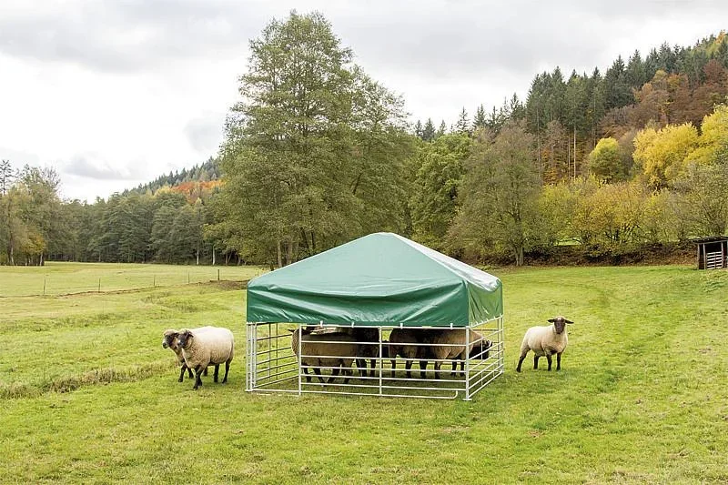 Weideunterstand für Schafe, 2,75 x 2,75 m inkl. Horden - 0
