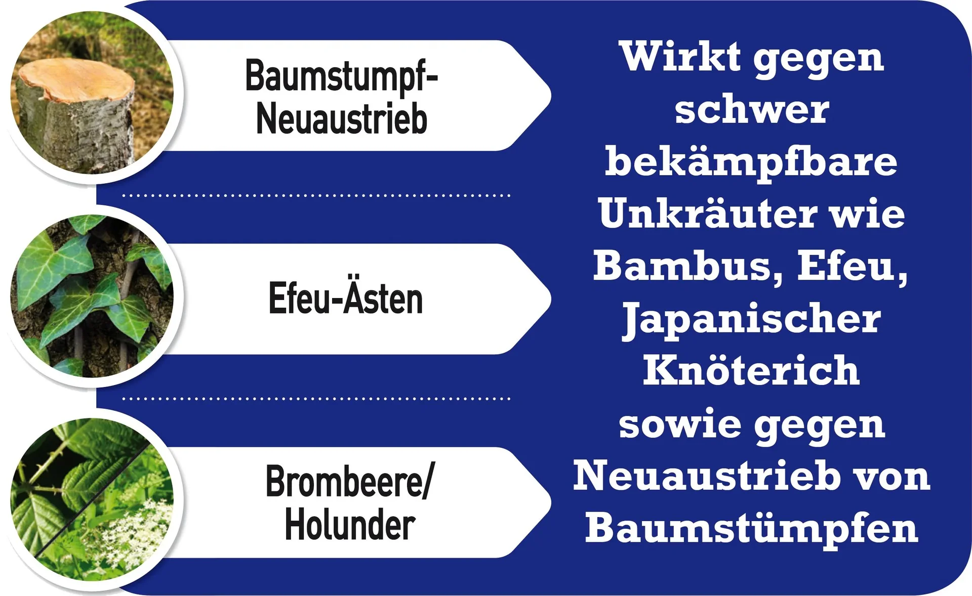 Spezial Unkrautfrei - 250 ml, mit wurzeltiefer Wirkung - 1