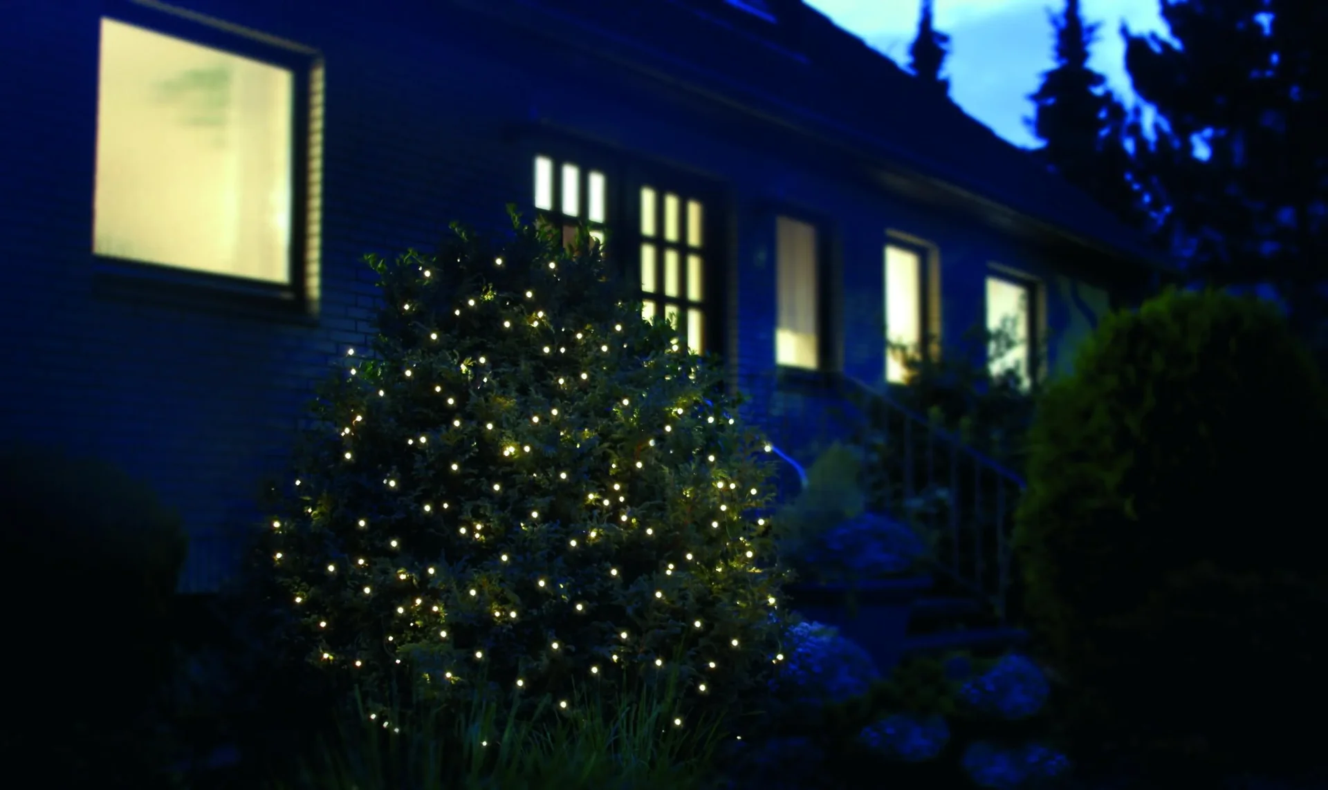 LED Lichternetz mit 270 warmweißen LEDs, 3x3 m - 0