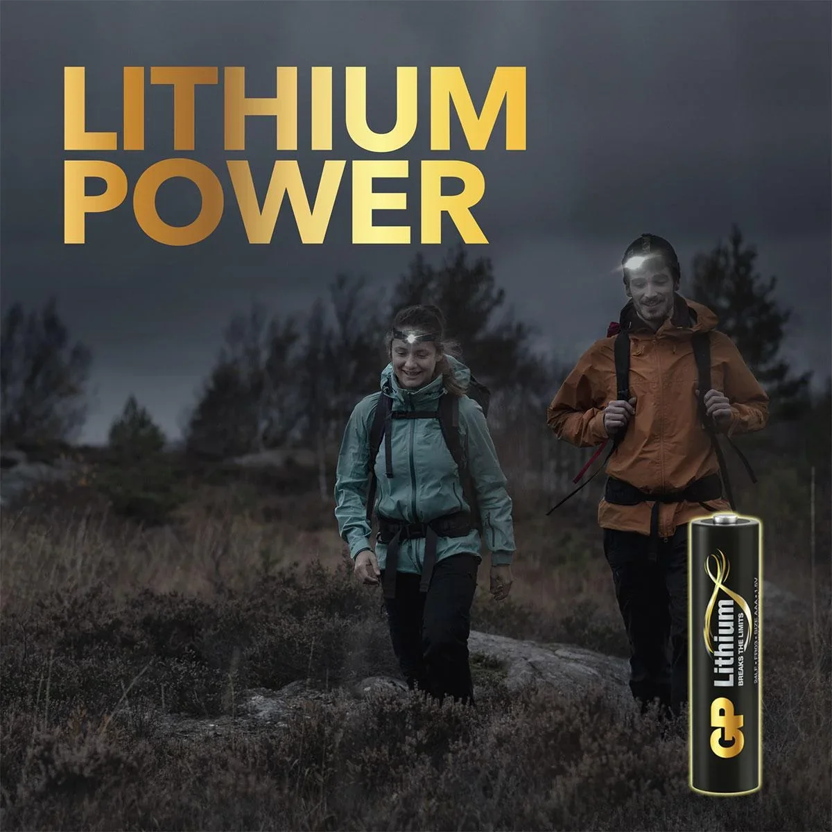Lithium Primary Micro (AAA) Batterien - 4 Stück - 4