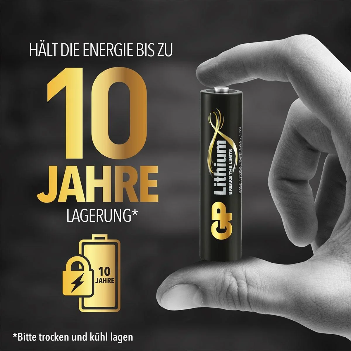 Lithium Primary Micro (AAA) Batterien - 4 Stück - 5