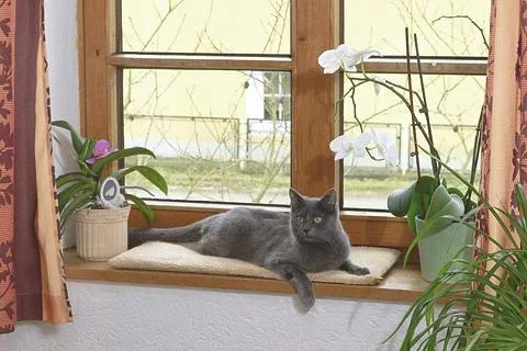 Fensterliegekissen für Katzen, 60 x 26 cm - 0