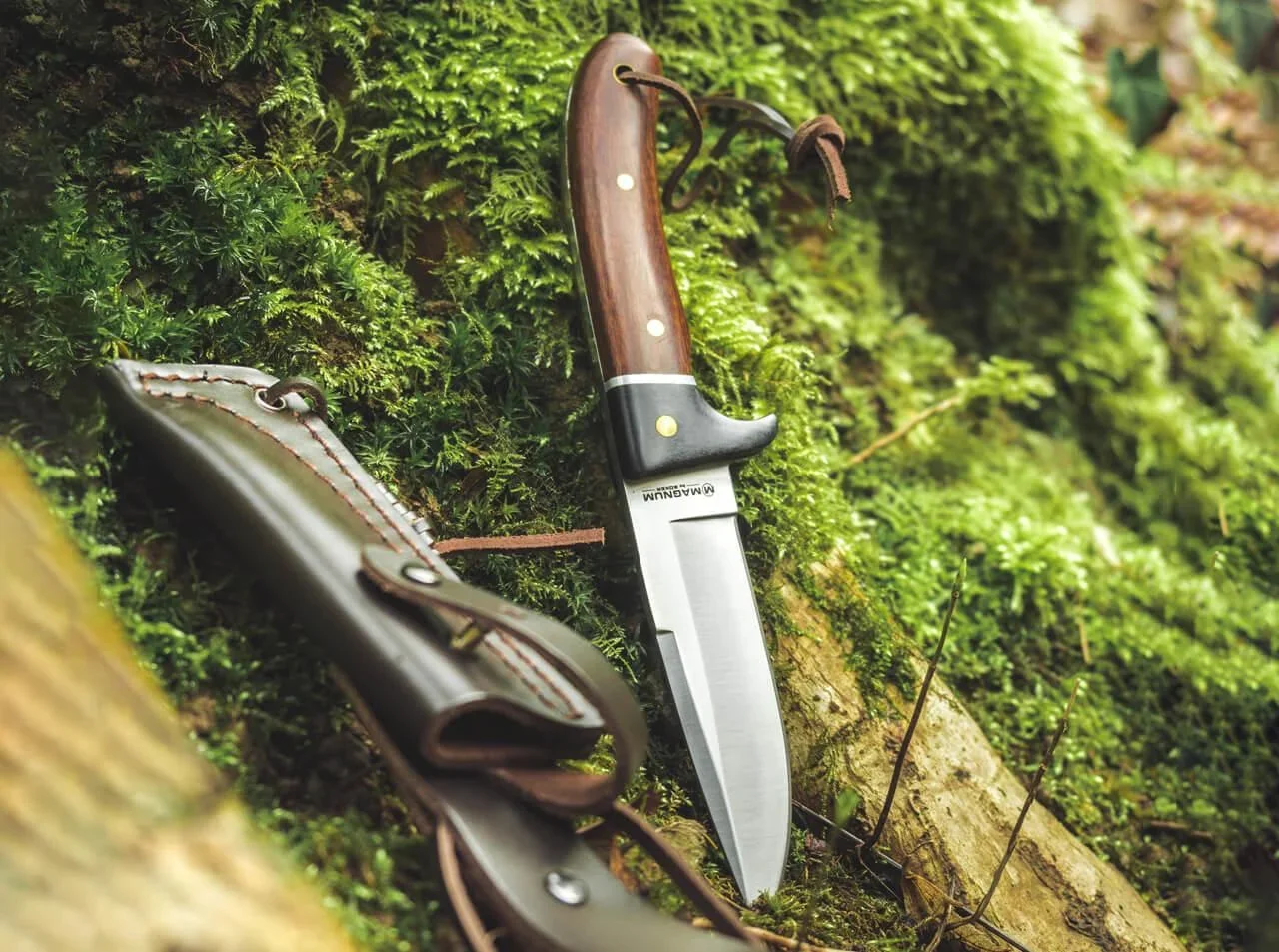 Elk Hunter Special - 0