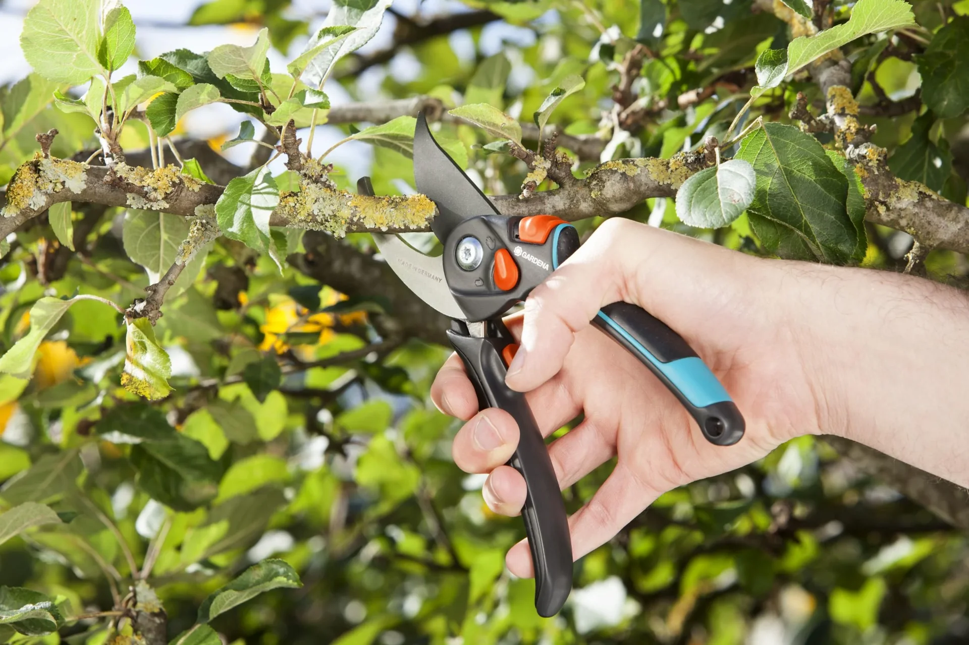 Gartenschere B/S-XL - 3