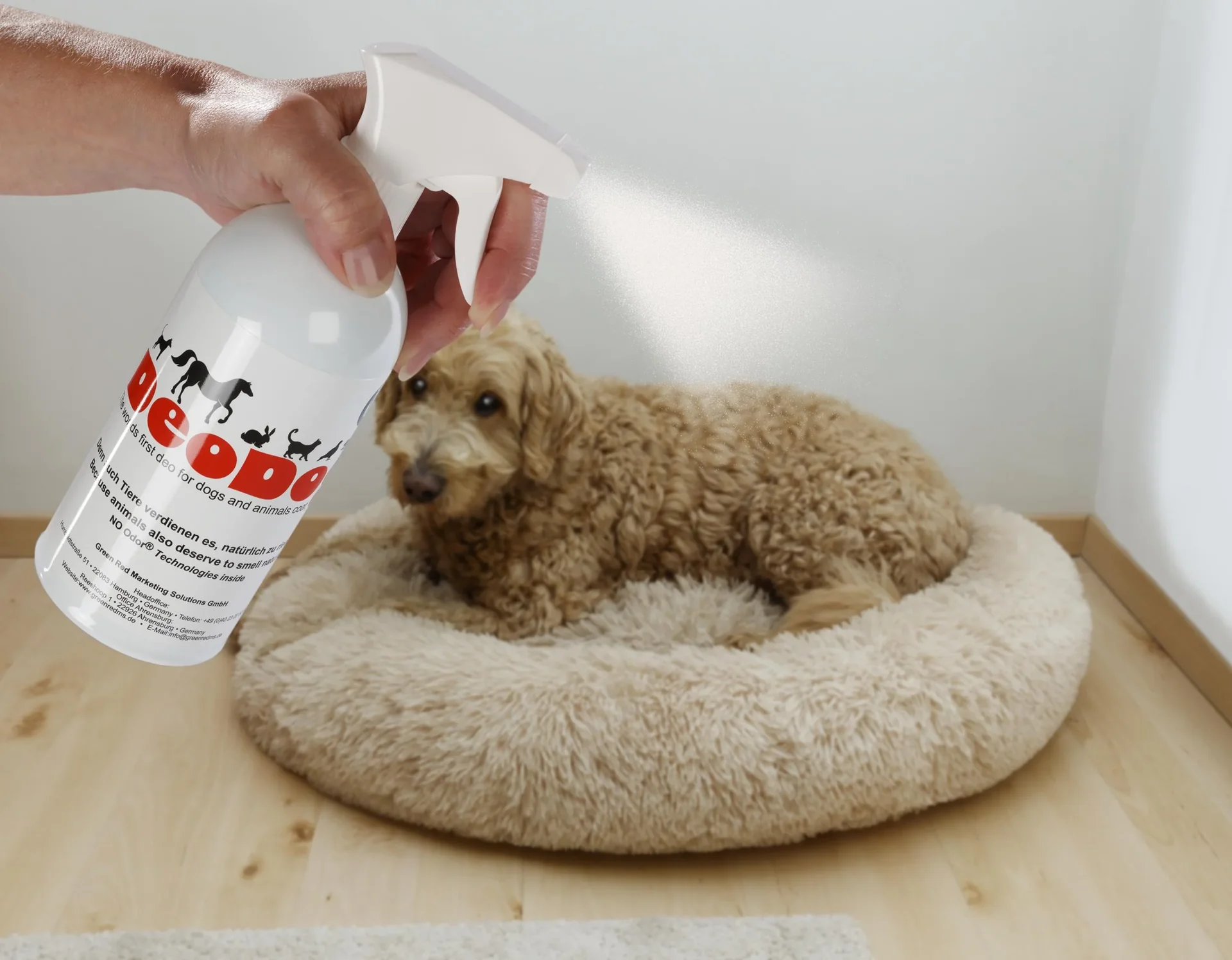 Geruchsneutralisierer "DeoDog", 500 ml - 0