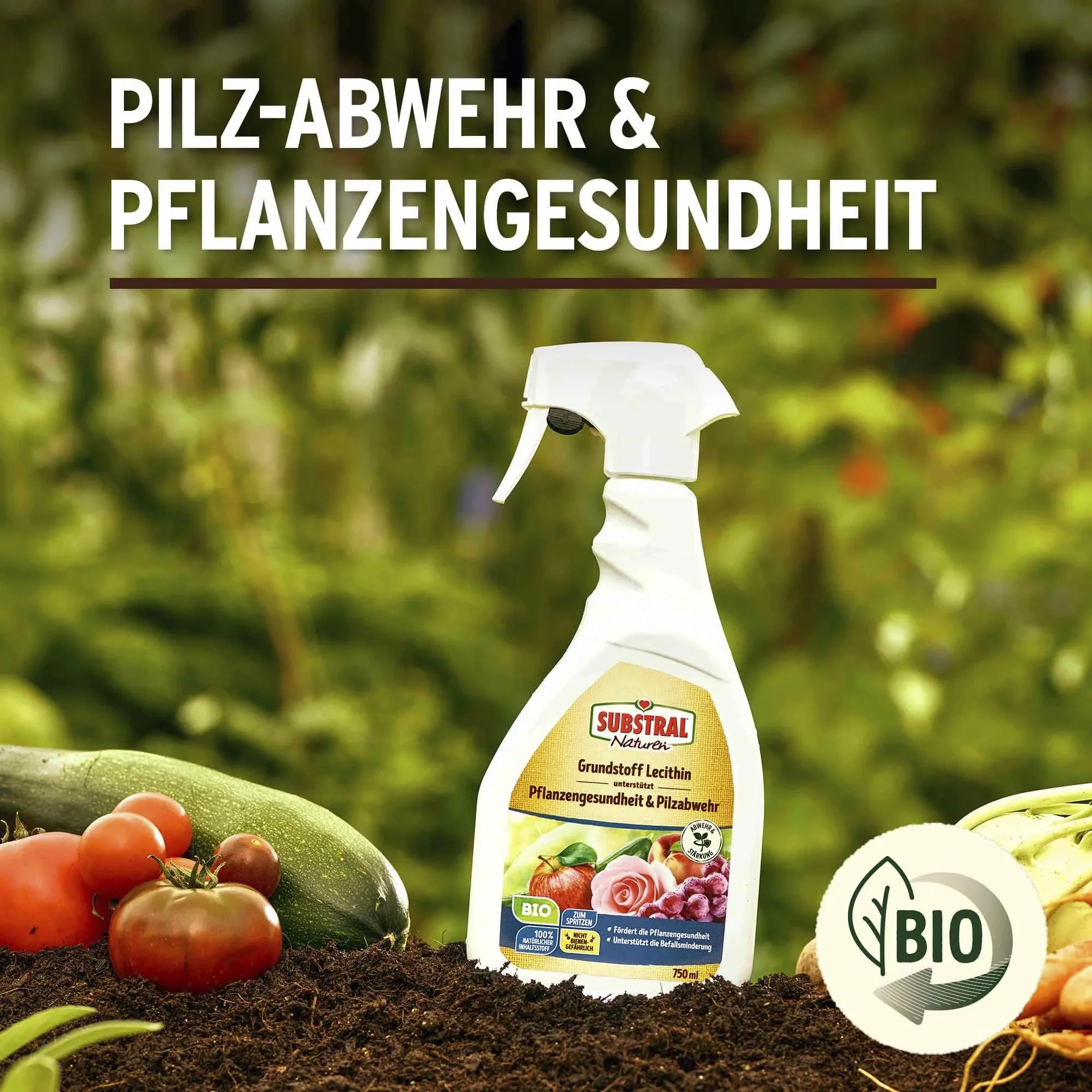 Grundstoff Lecithin Spray 750 ml - 3