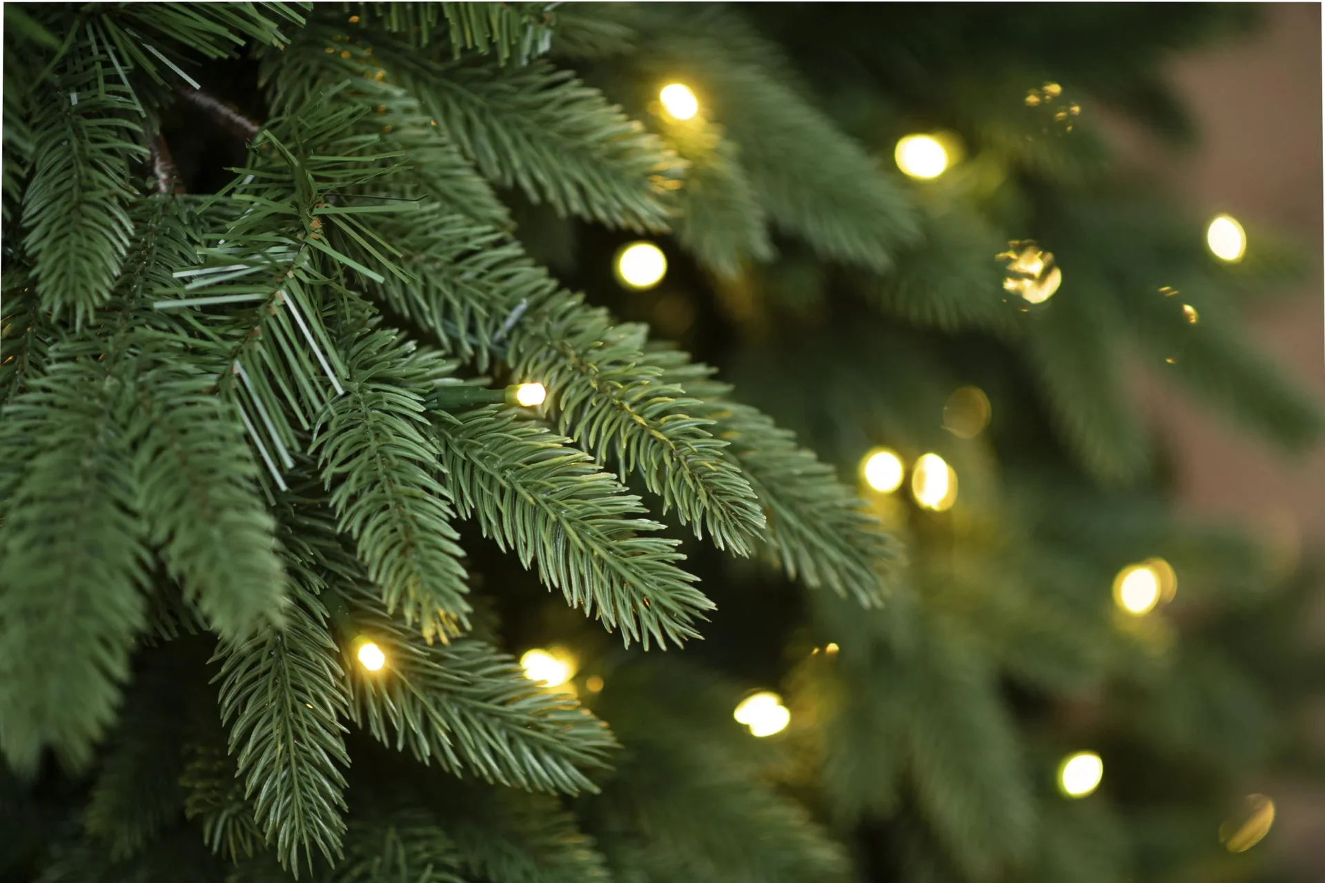 Weihnachtsbaum Roswell Kiefer 180 cm - 2