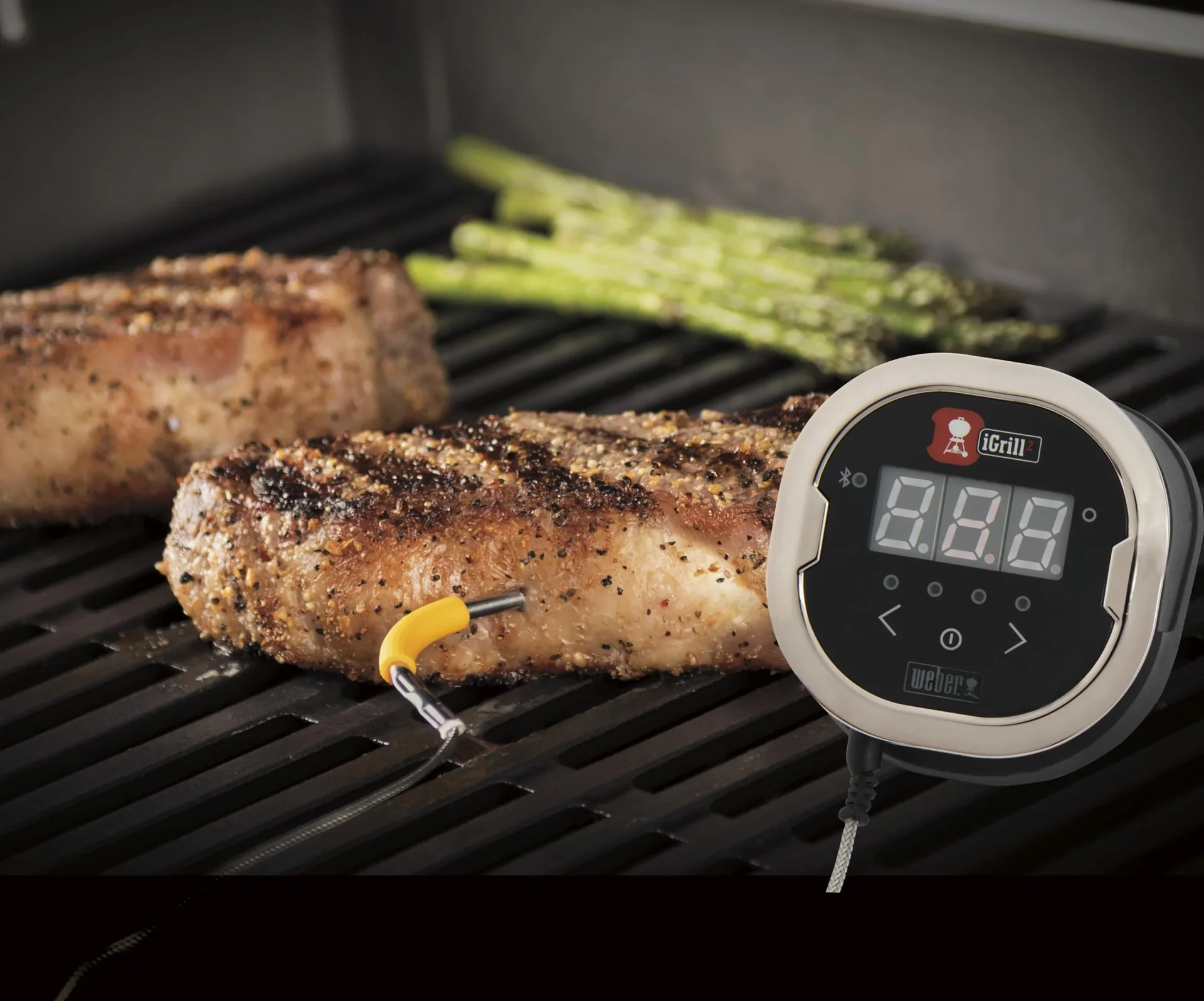 Thermometer iGrill 2 mit zwei Messfühlern - 6