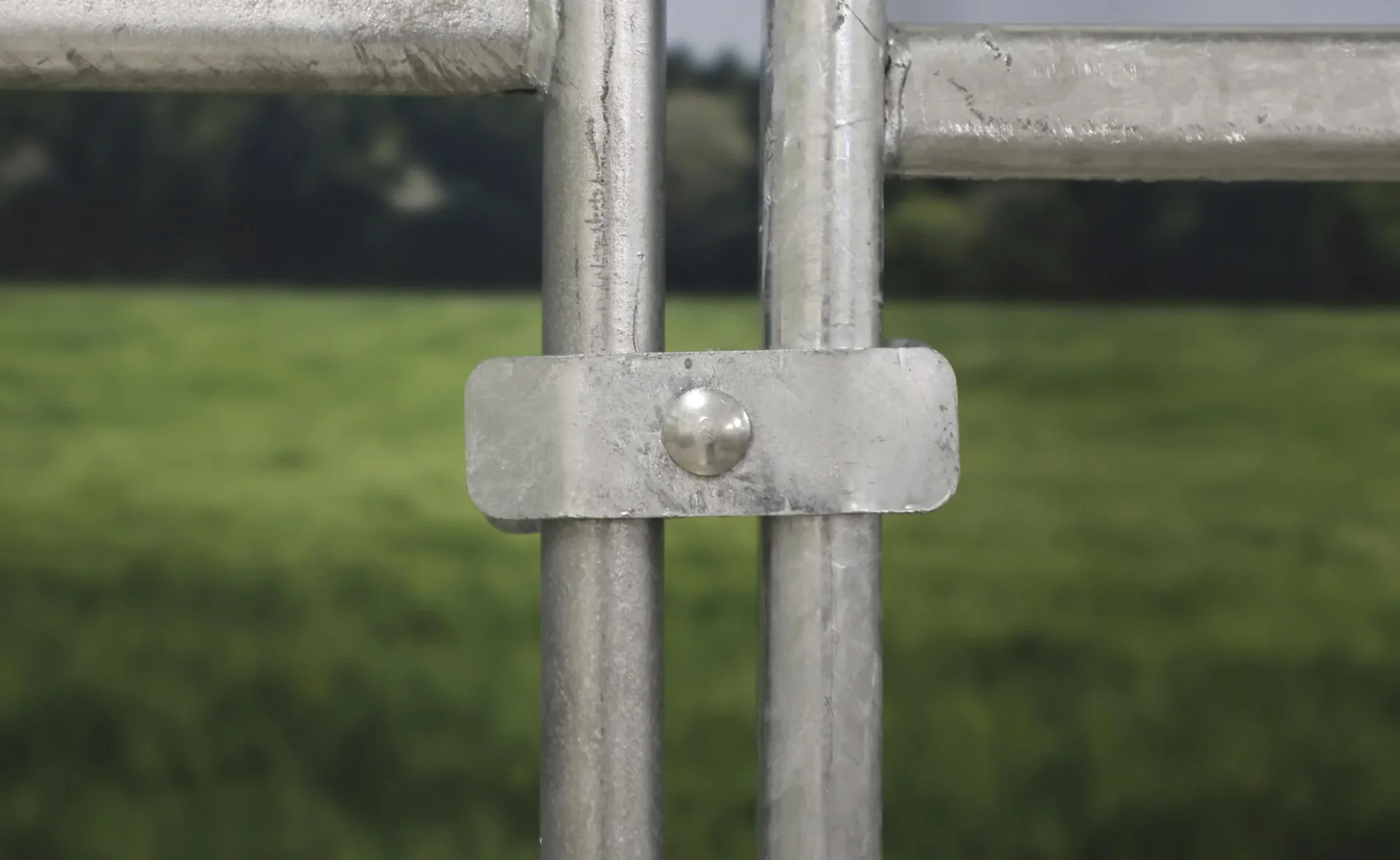 Verbinder für Weidepanele - 2