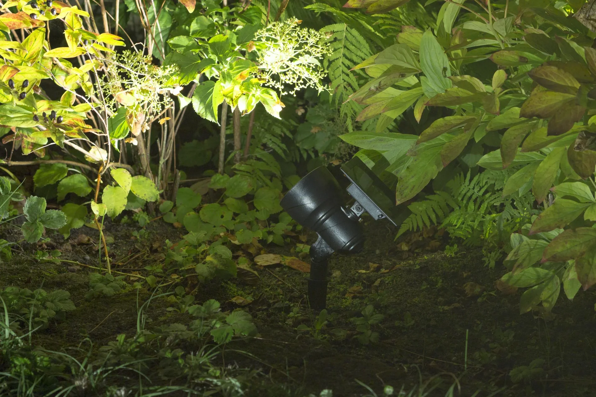 Solar LED Spot - 0