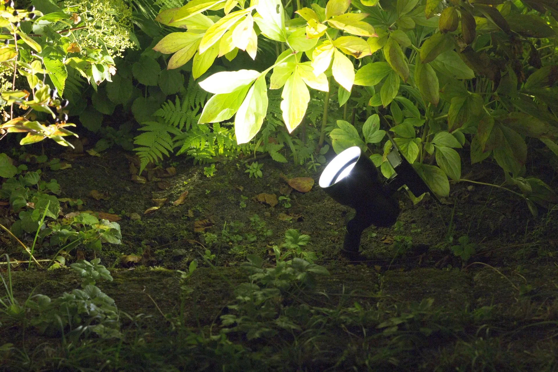 Solar LED Spot - 1