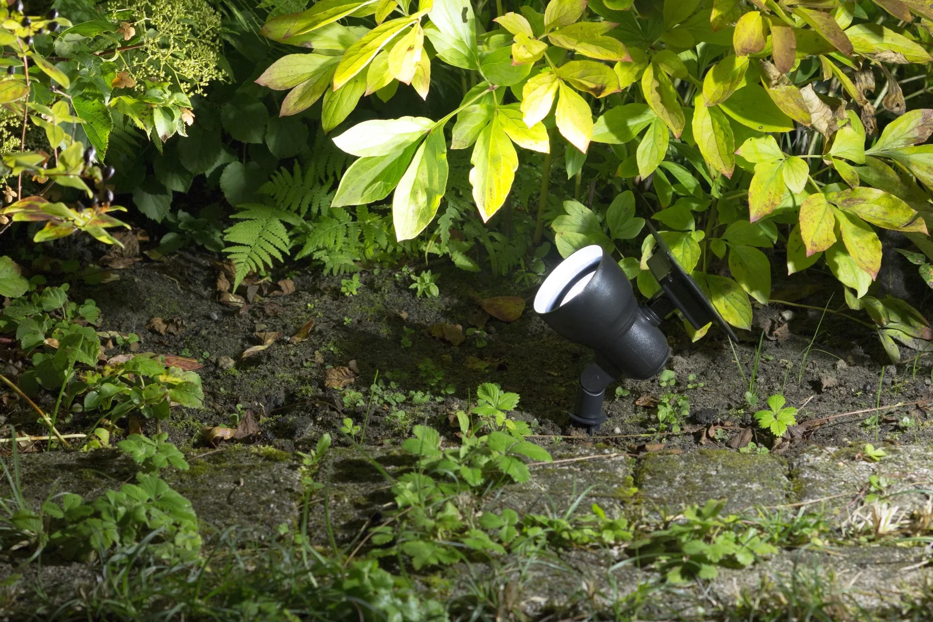Solar LED Spot - 3