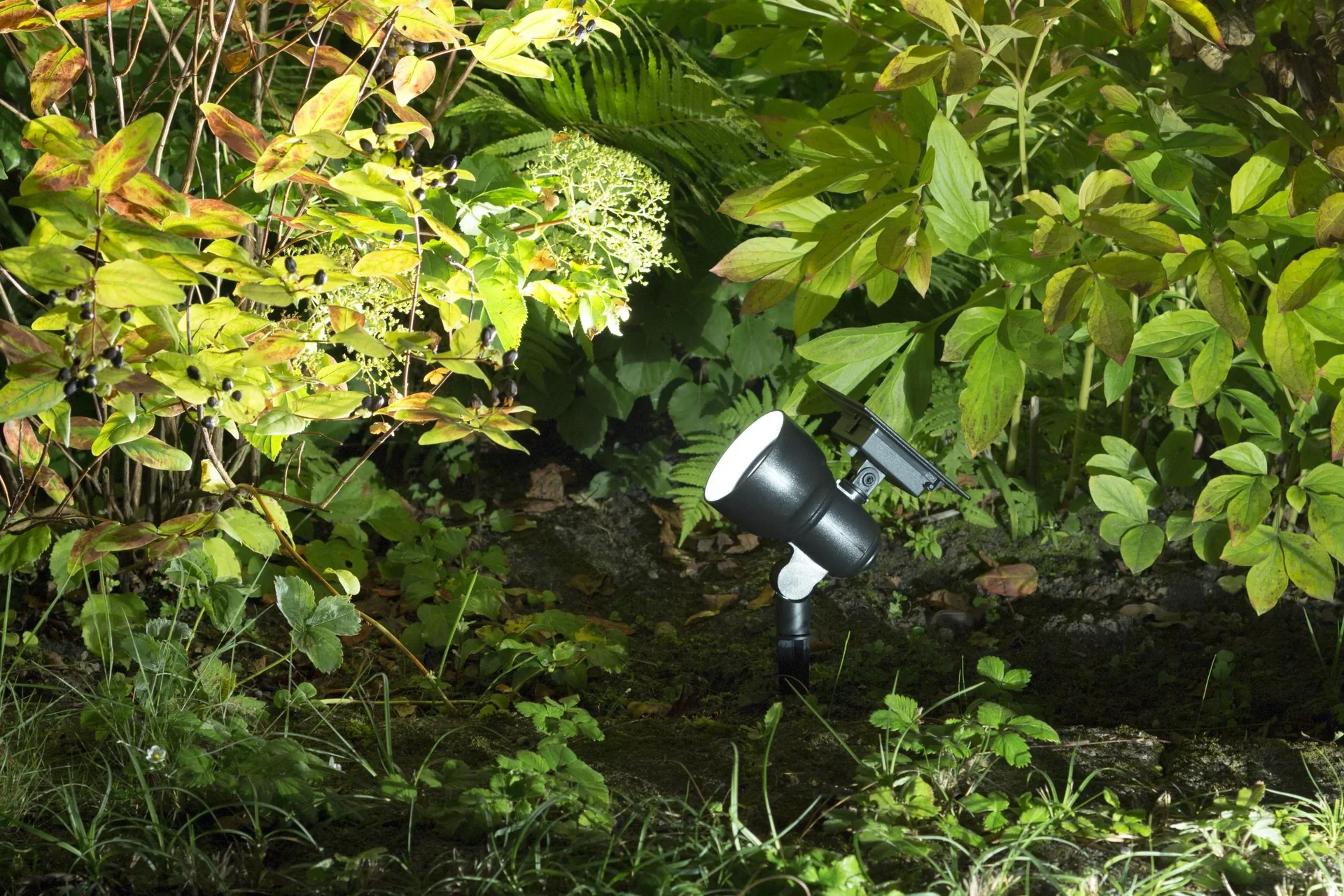 Solar LED Spot - 5