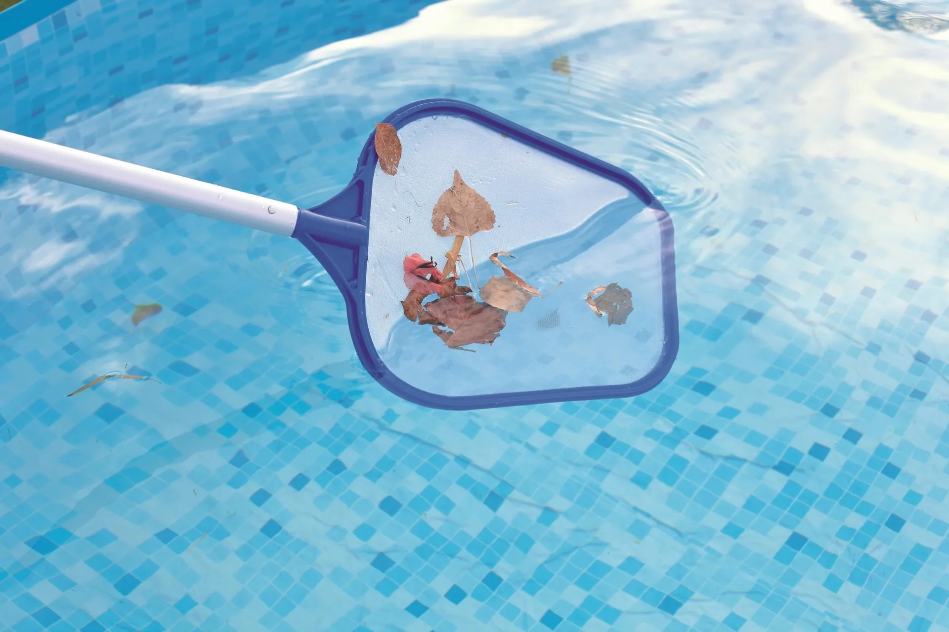 Pool Reinigungs-Set - 11