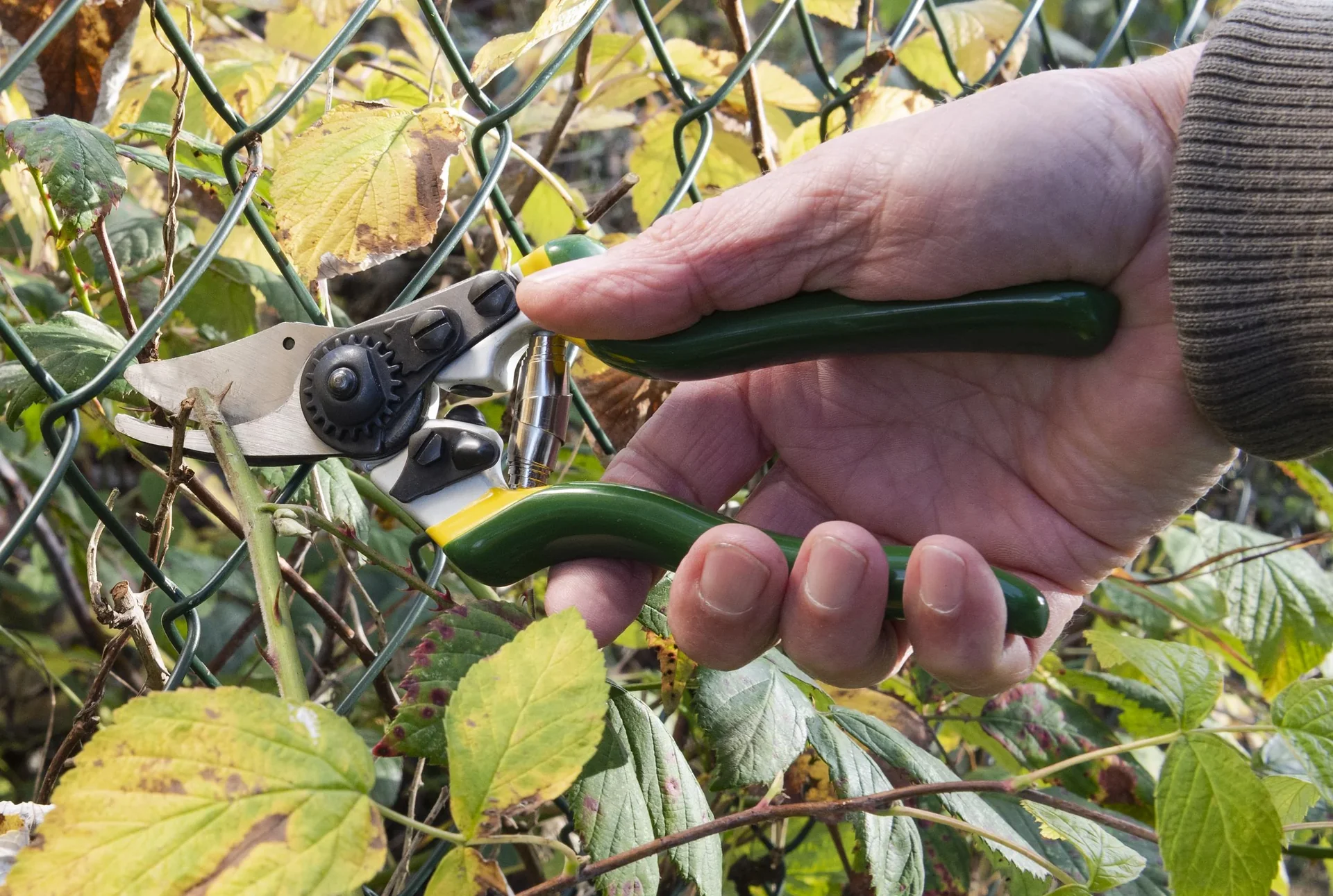 Einhand-Gartenschere, Compact - 1