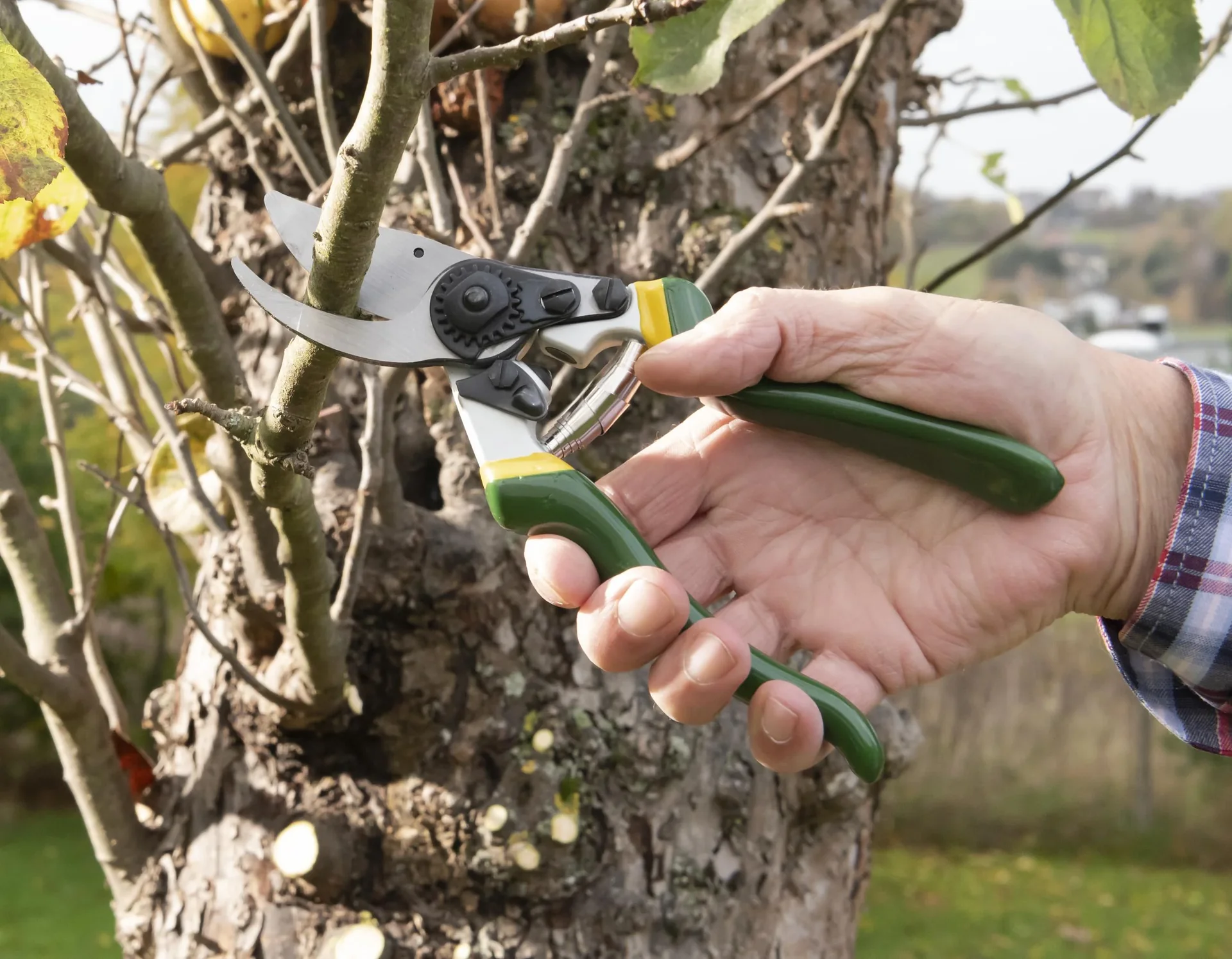 Einhand-Gartenschere, Ergo - 2