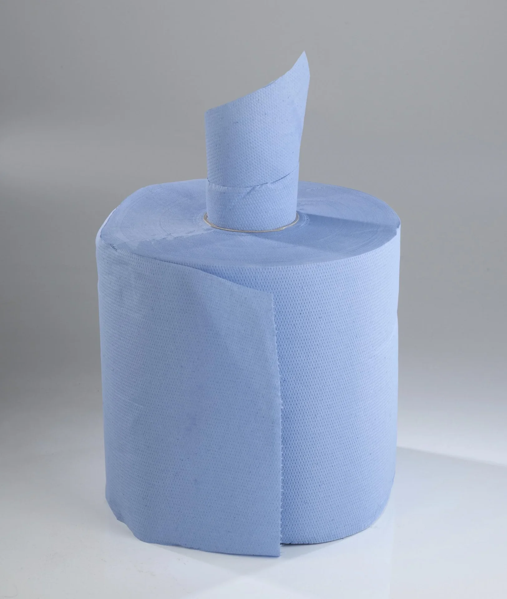 Blaue Putzrollen, 2 Stück - 4