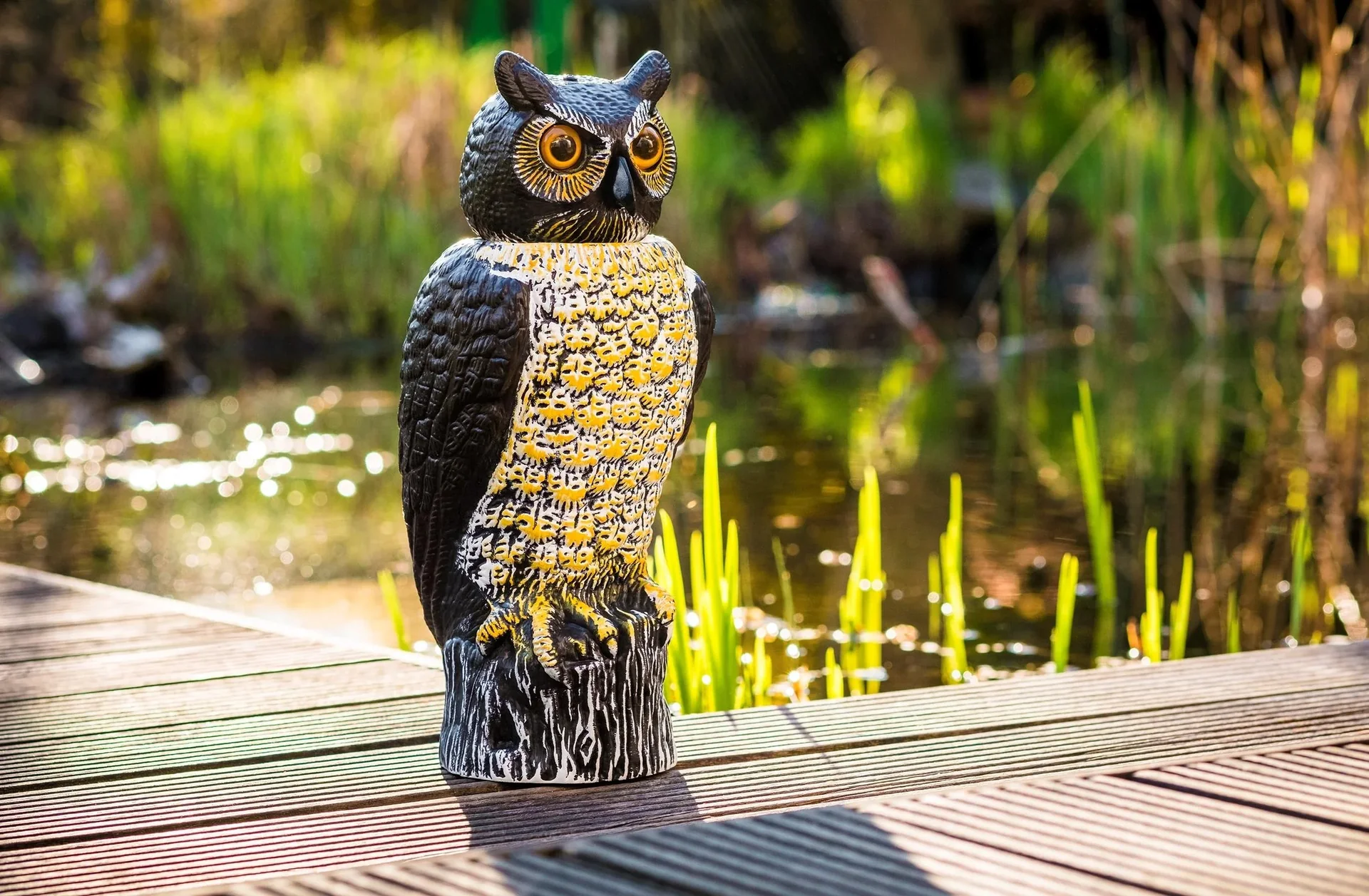 Garteneule Vogelschreck - 1
