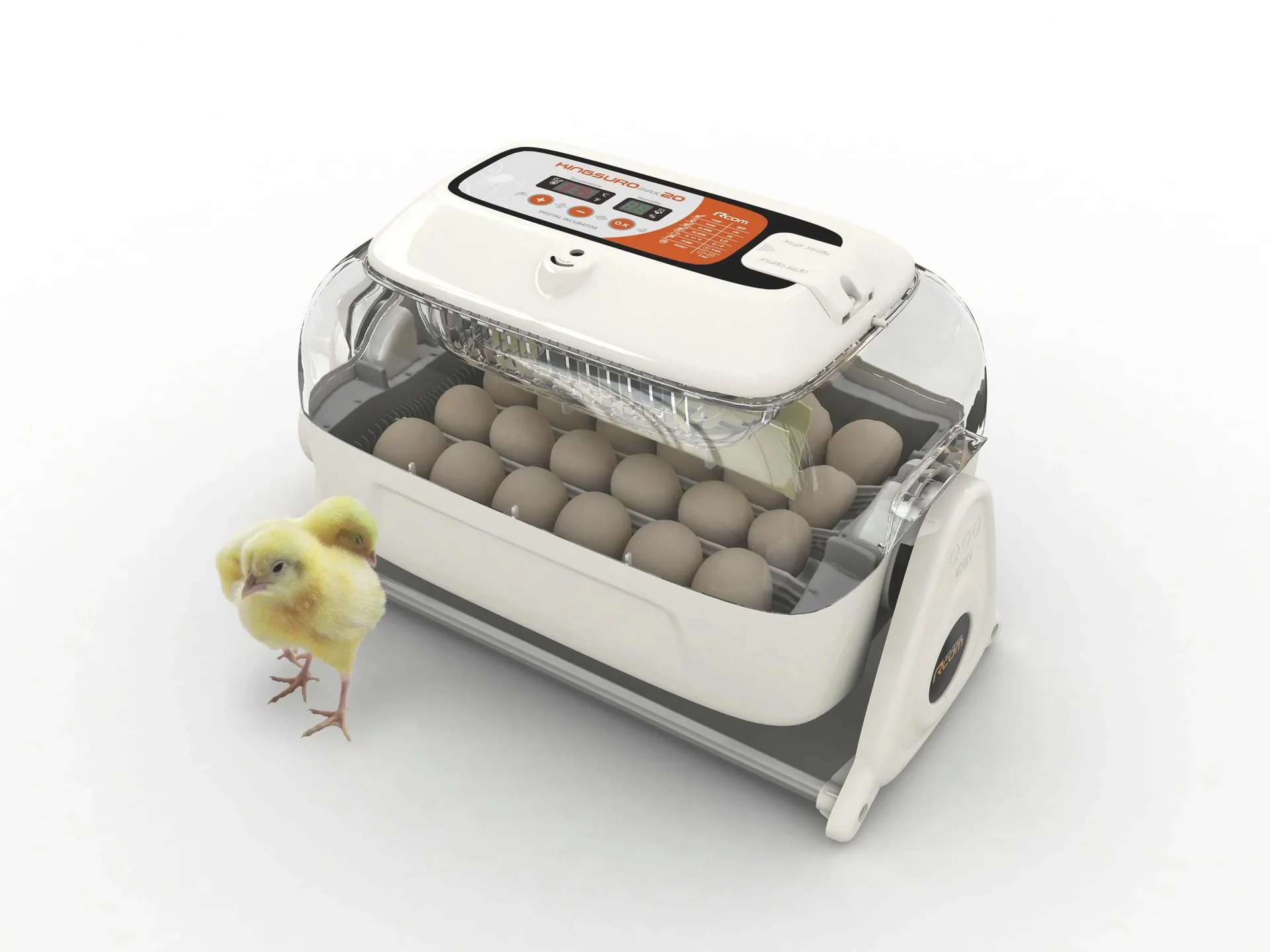 Brutautomat King Suro + Dr. Hesse Kükenglück, 100 g - 2