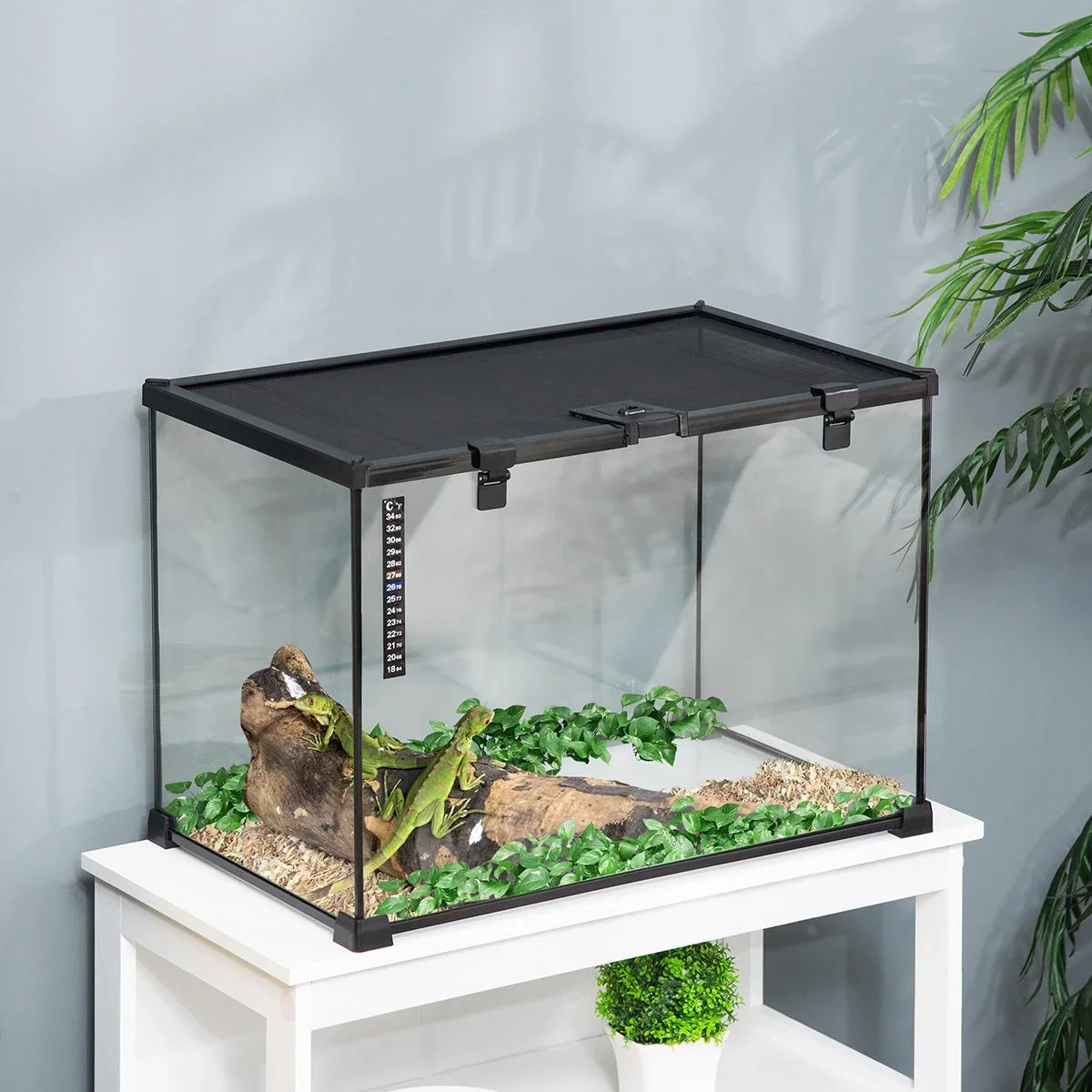 Terrarium für Reptilien 50 cm x 30 cm x 35 cm - 1