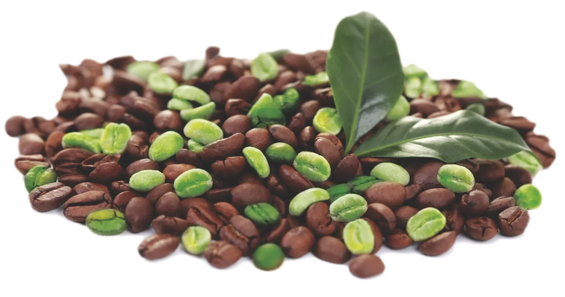 RXB Green Coffee Kapseln, 60 Stück - 1