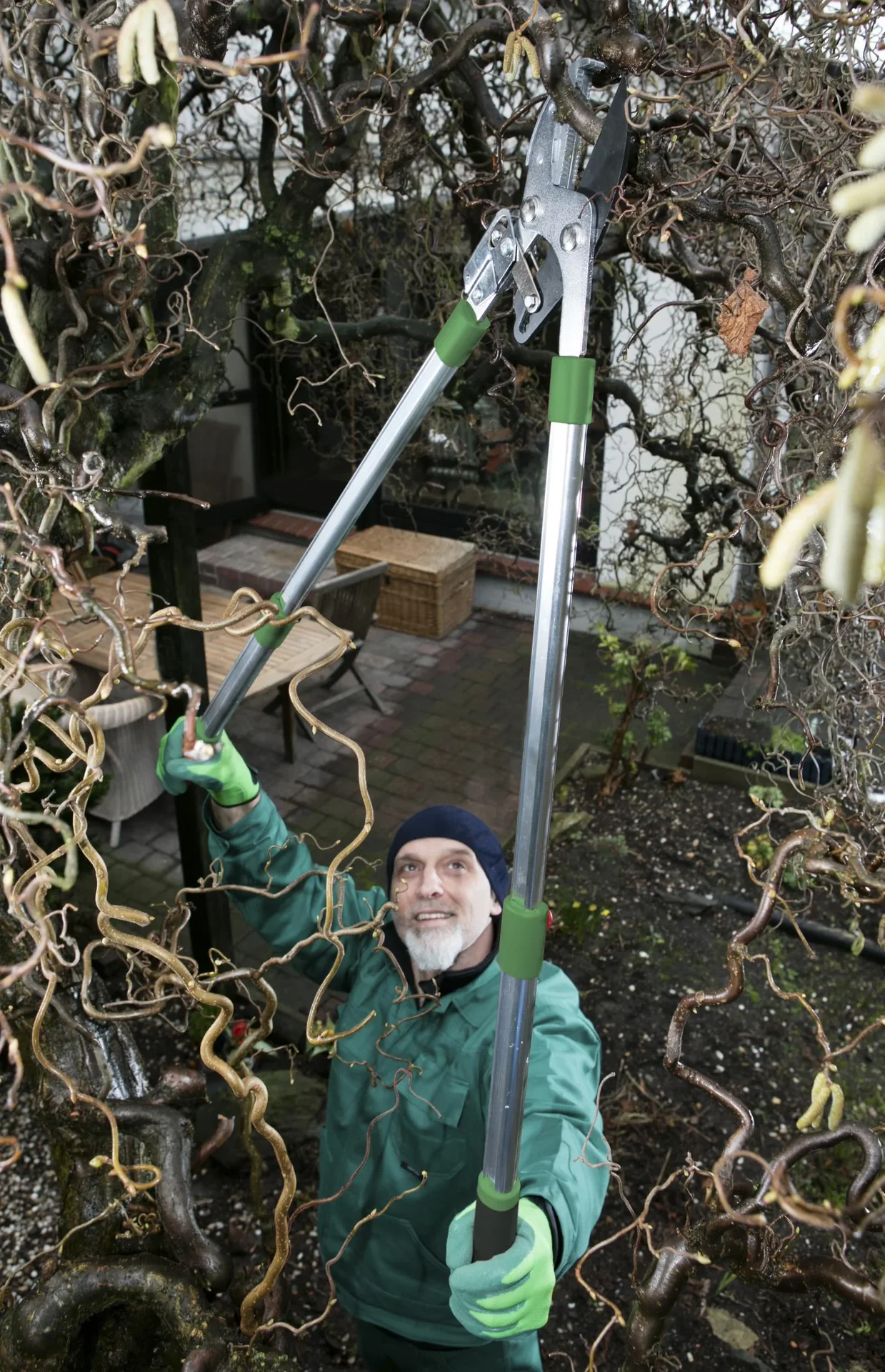 Amboss Astschere mit Ratsche und Teleskopgriff - 2