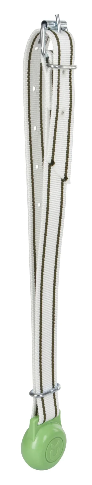 Gewicht für Halsbänder 500 g - 1