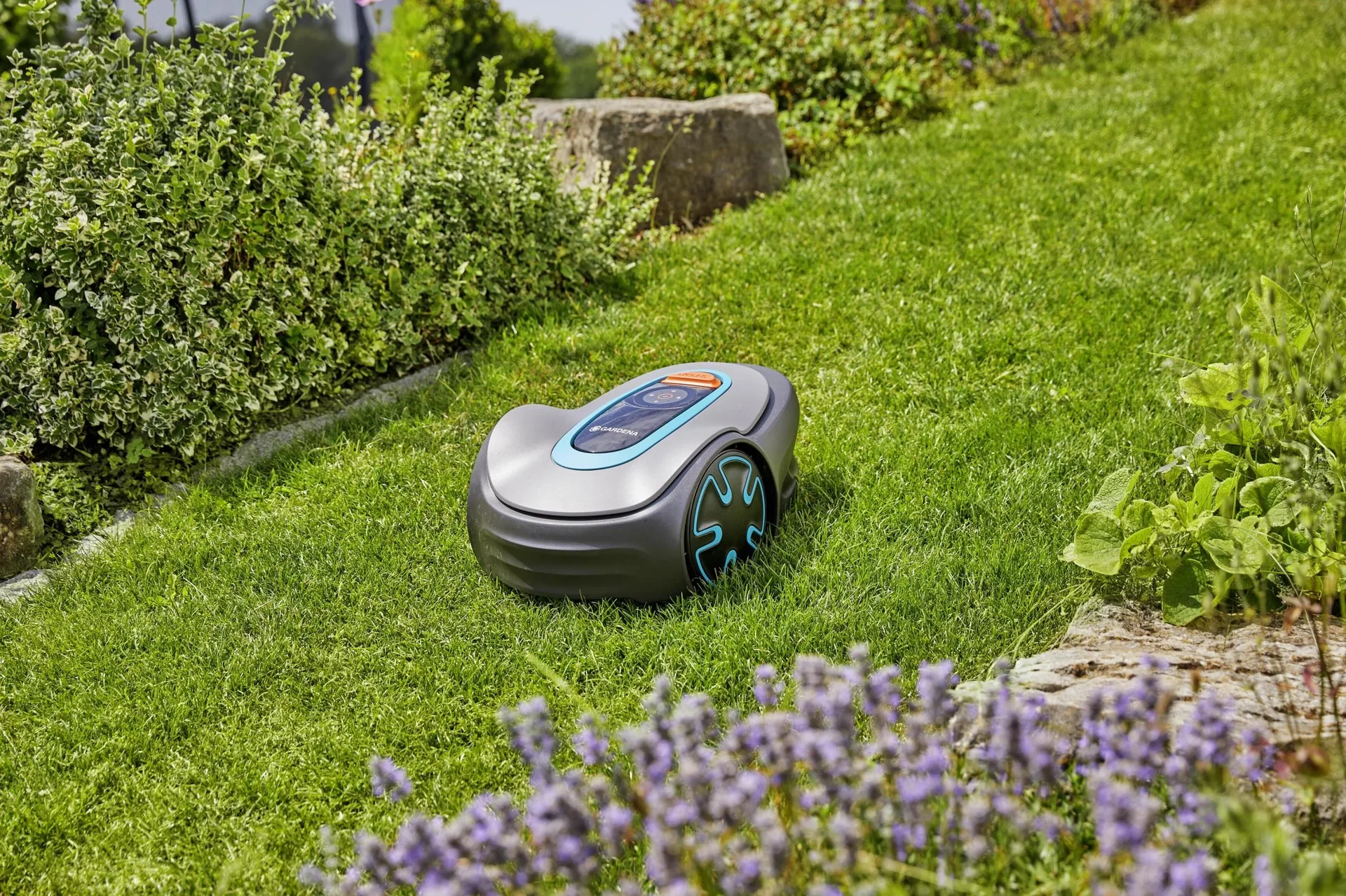 Mähroboter SILENO minimo 250 m² - 5