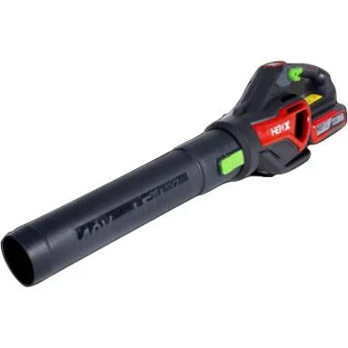 Laubbläser - Starter-Set 40 Volt Li-Ion - 4