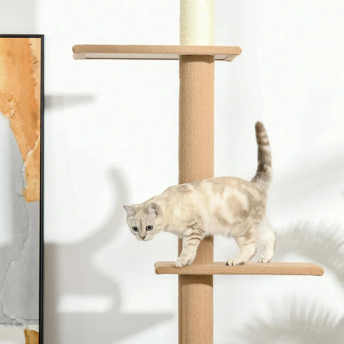 Kratzbaum Katzenbaum Kletterbaum f - 2