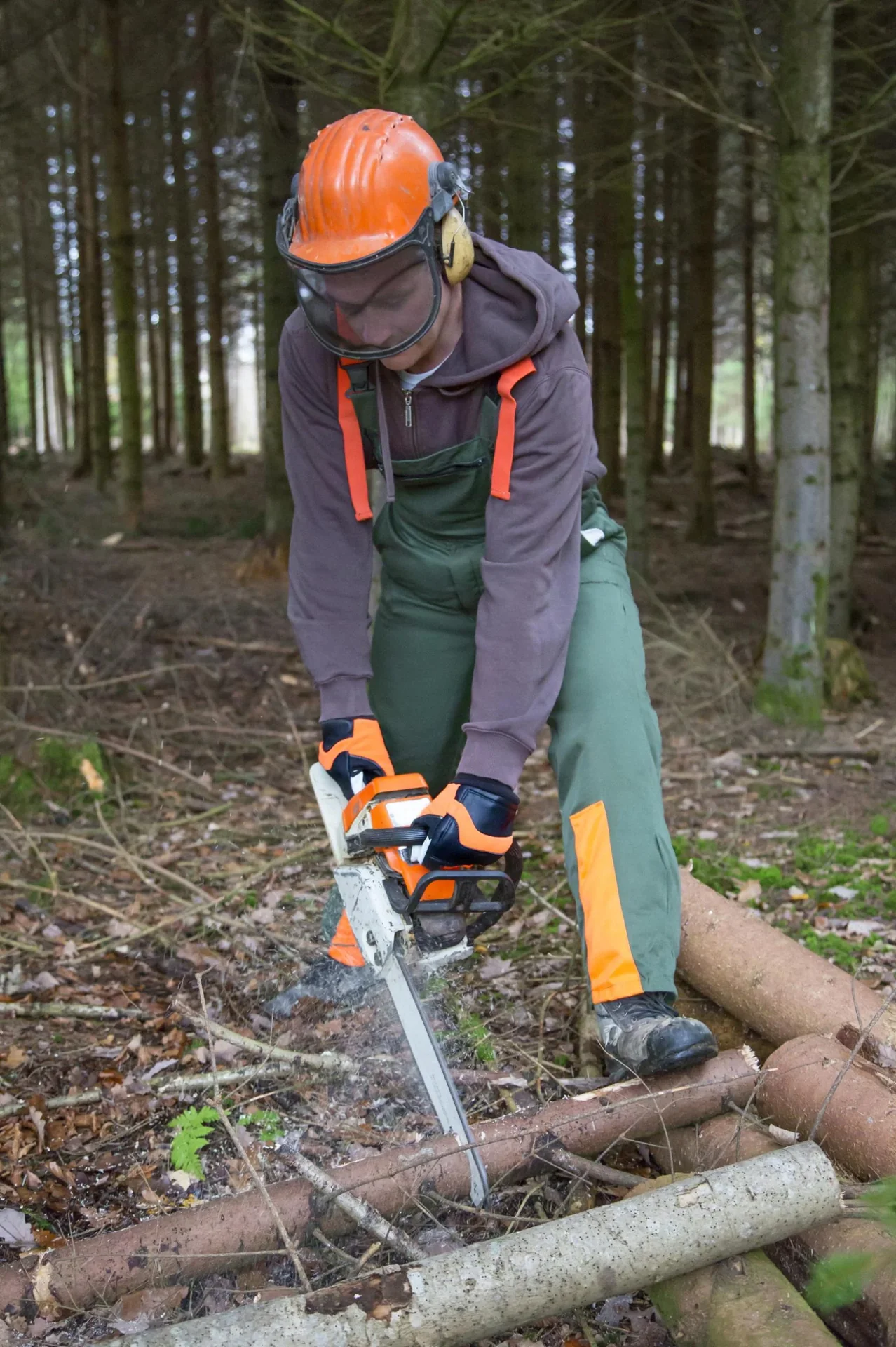Motorsägenhandschuh Forester Gr. 9/L - 0
